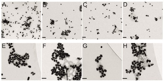 Molecules | Free Full-Text | Multivariate Imaging for Fast Evaluation of In  Situ Dark Field Microscopy Hyperspectral Data