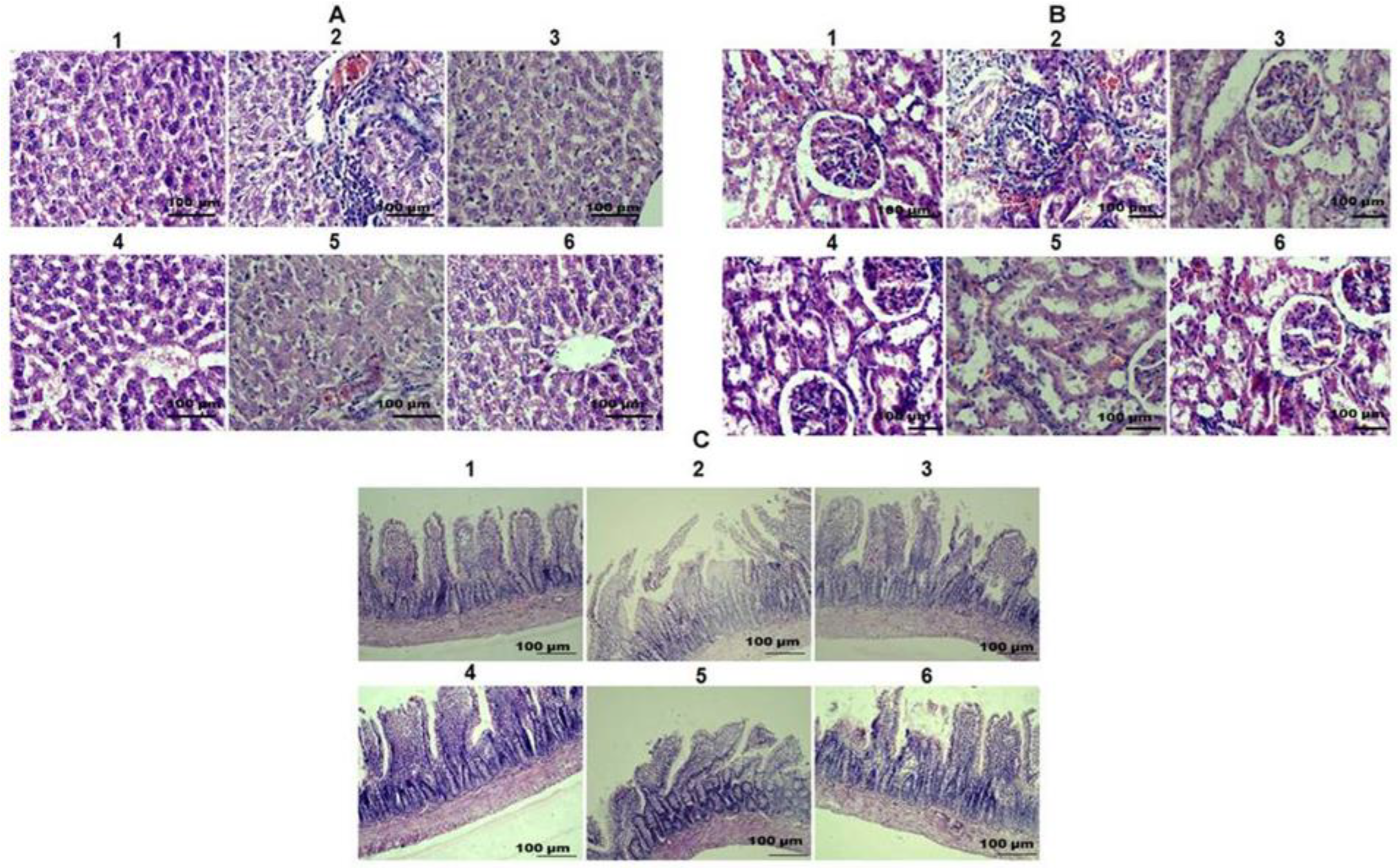 Molecules 27 05162 g006