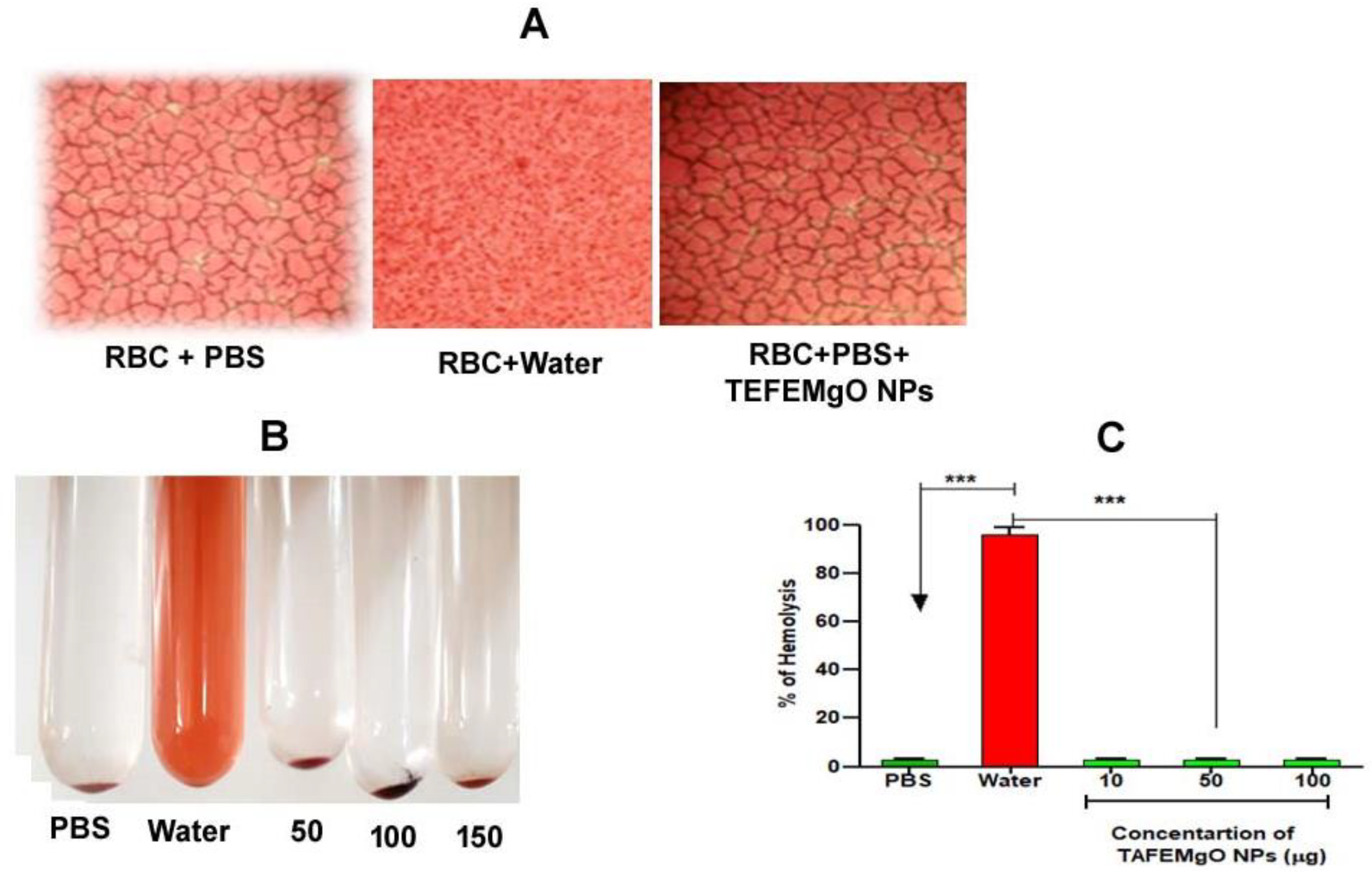 Molecules 27 05162 g009