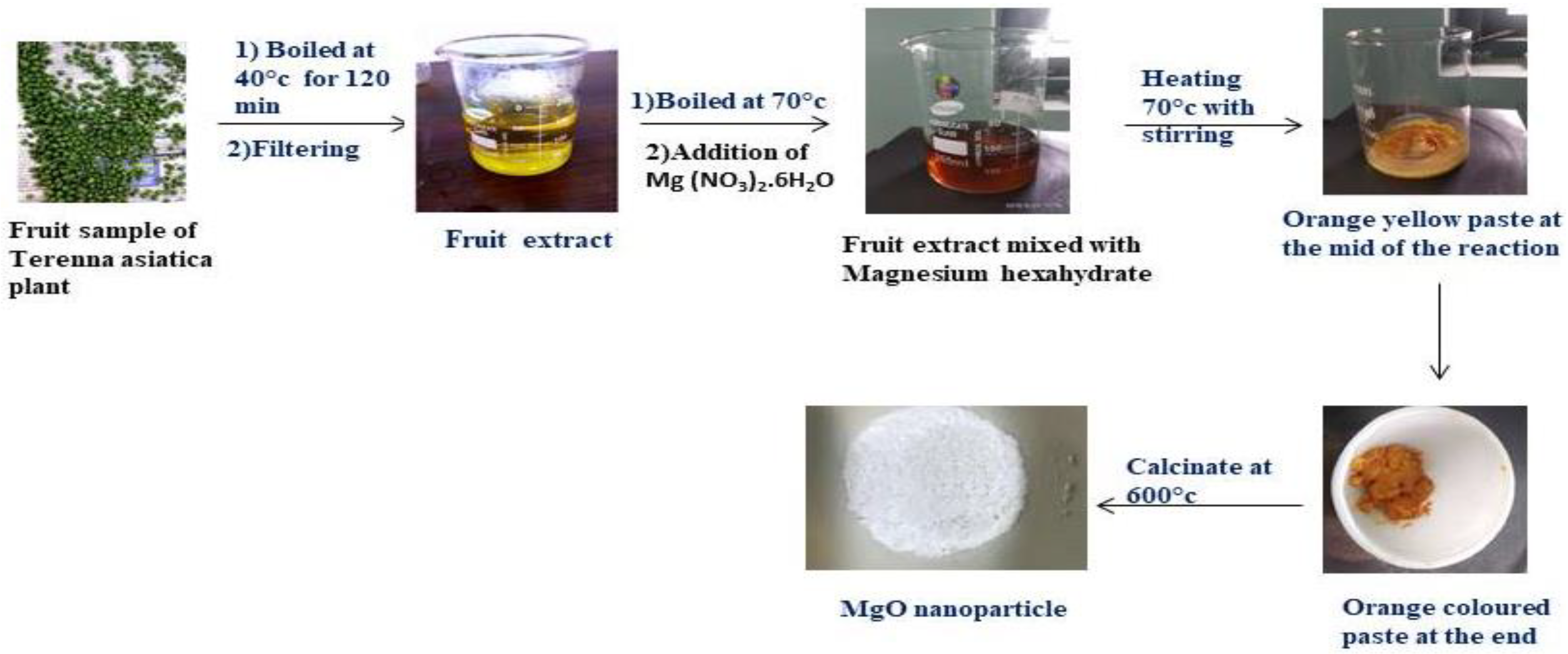 Molecules 27 05162 g010