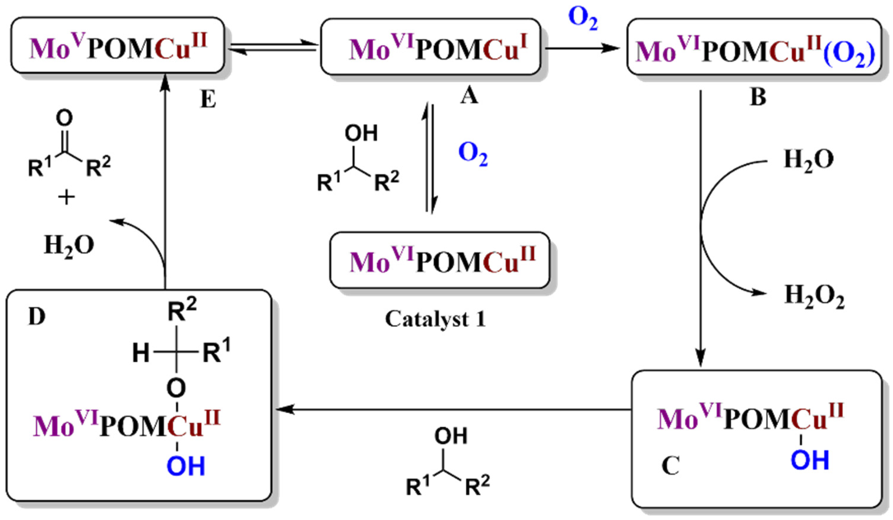 Molecules 27 05212 g007