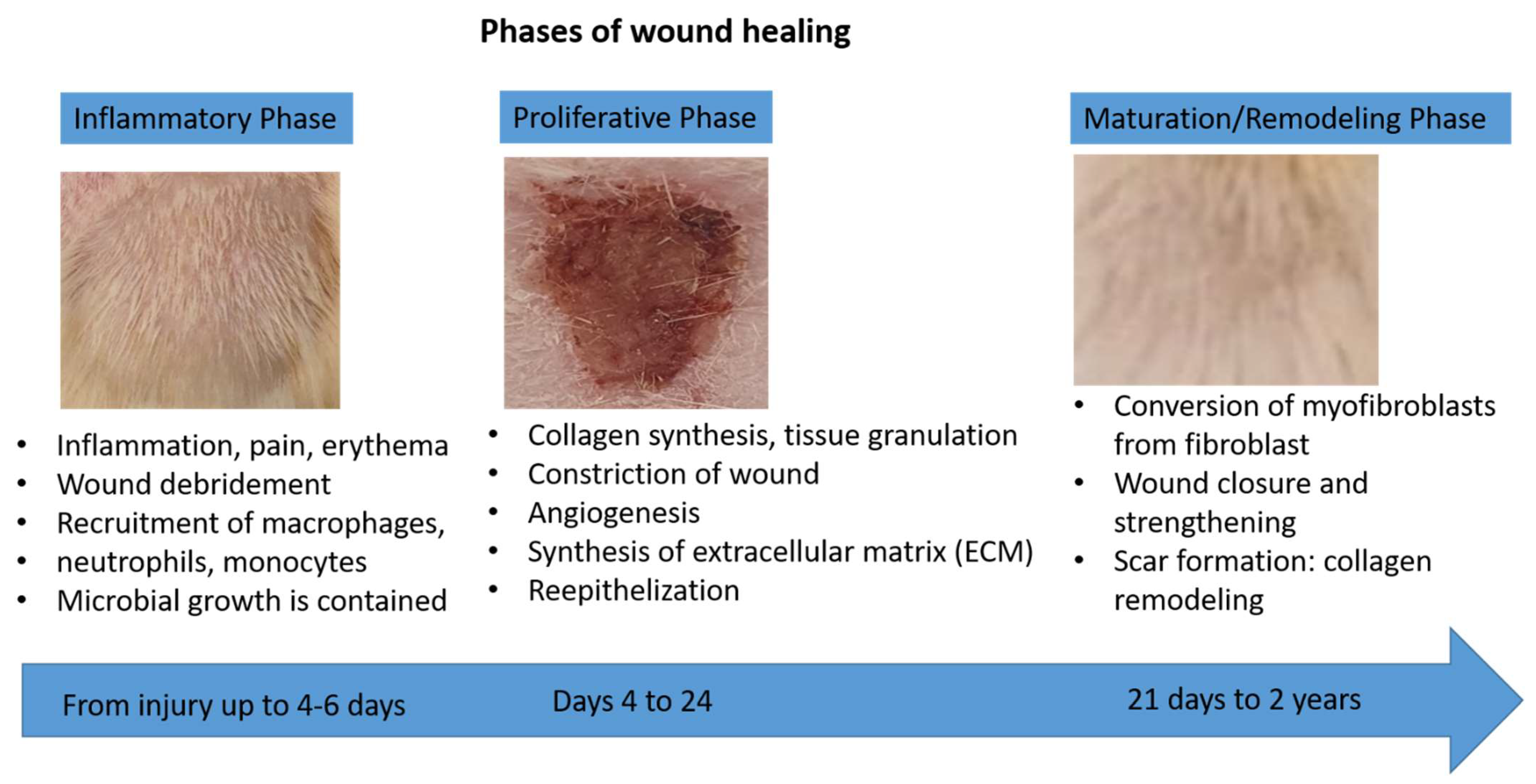 Molecules 27 05225 g009