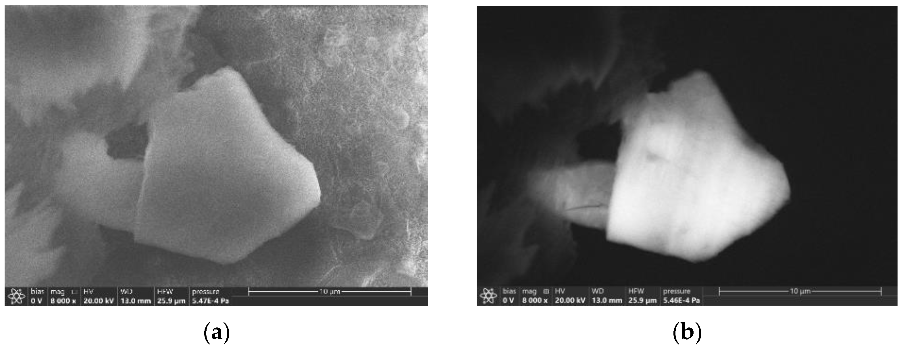 Molecules 27 05226 g011