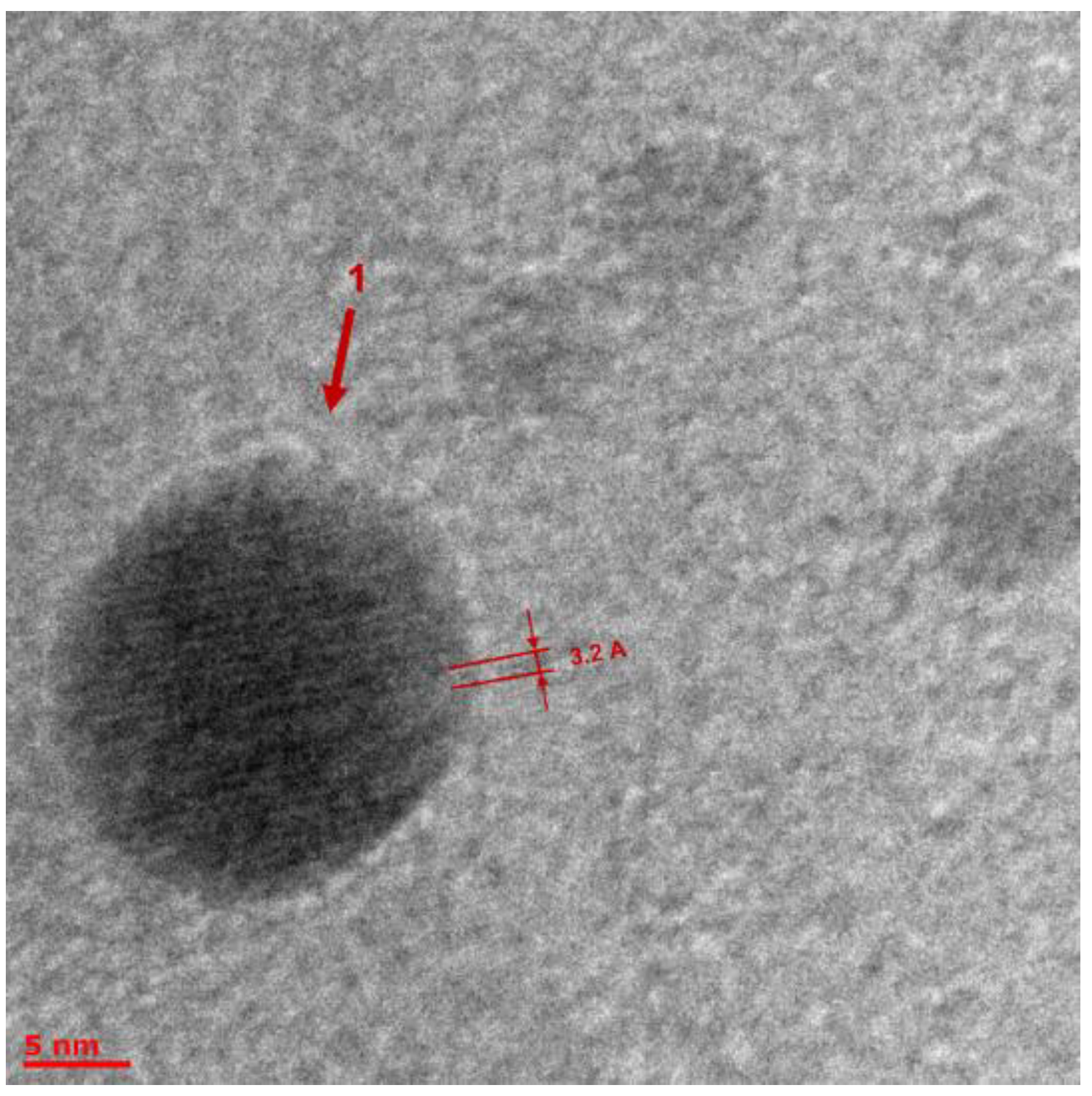 Molecules 27 05226 g012