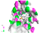 Molecules 27 05238 i002 Molecules 27 05238 i002