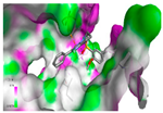 Molecules 27 05238 i006 Molecules 27 05238 i006