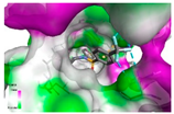 Molecules 27 05238 i014 Molecules 27 05238 i014