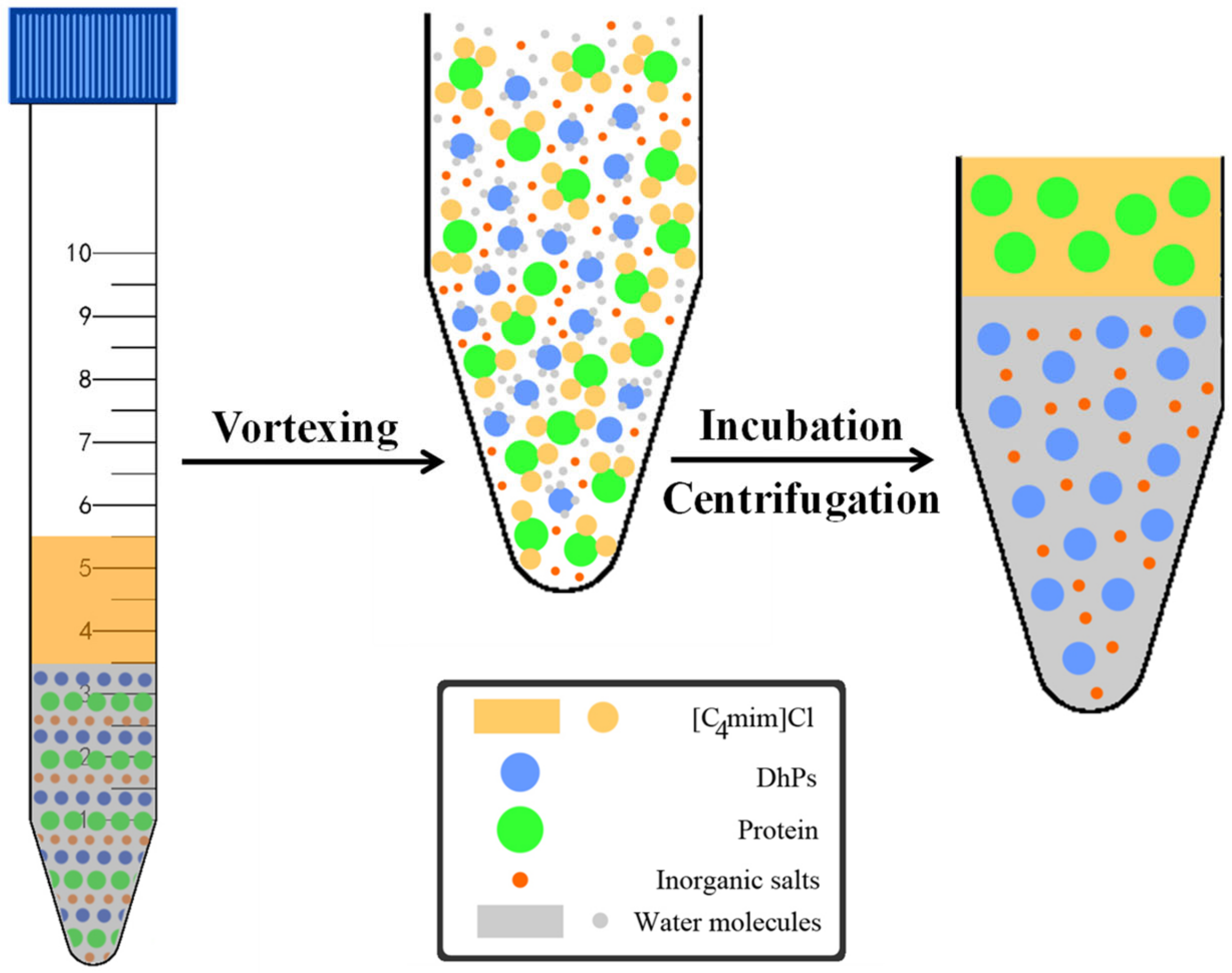 Molecules 27 05284 g008
