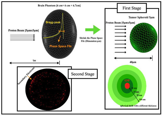 Molecules Free Full Text Secondary Electrons In Gold Nanoparticle Clusters And Their Role In Therapeutic Ratio The Outcome Of A Monte Carlo Simulation Study