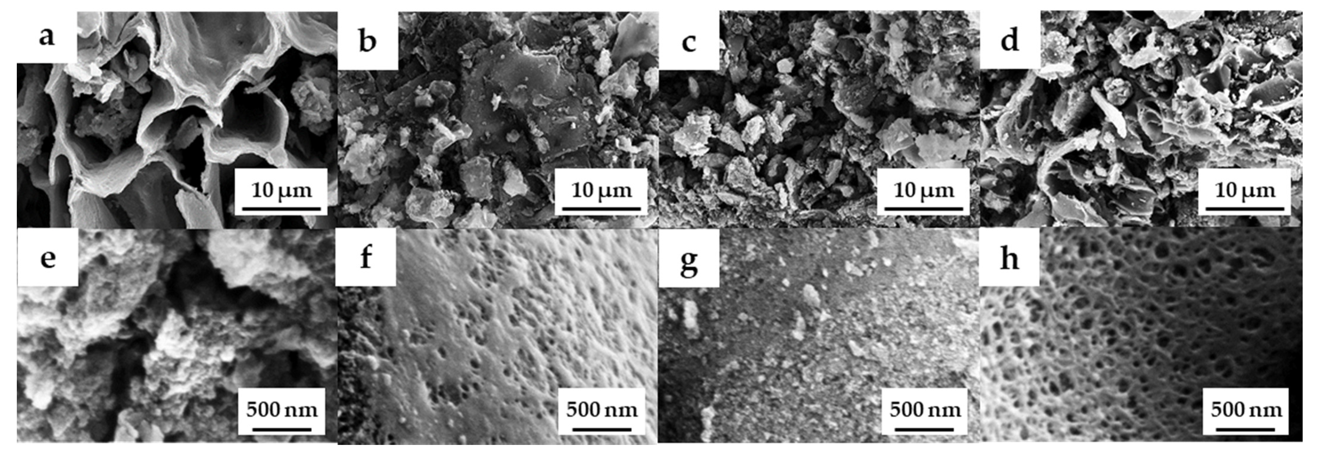 Molecules 27 05309 g002