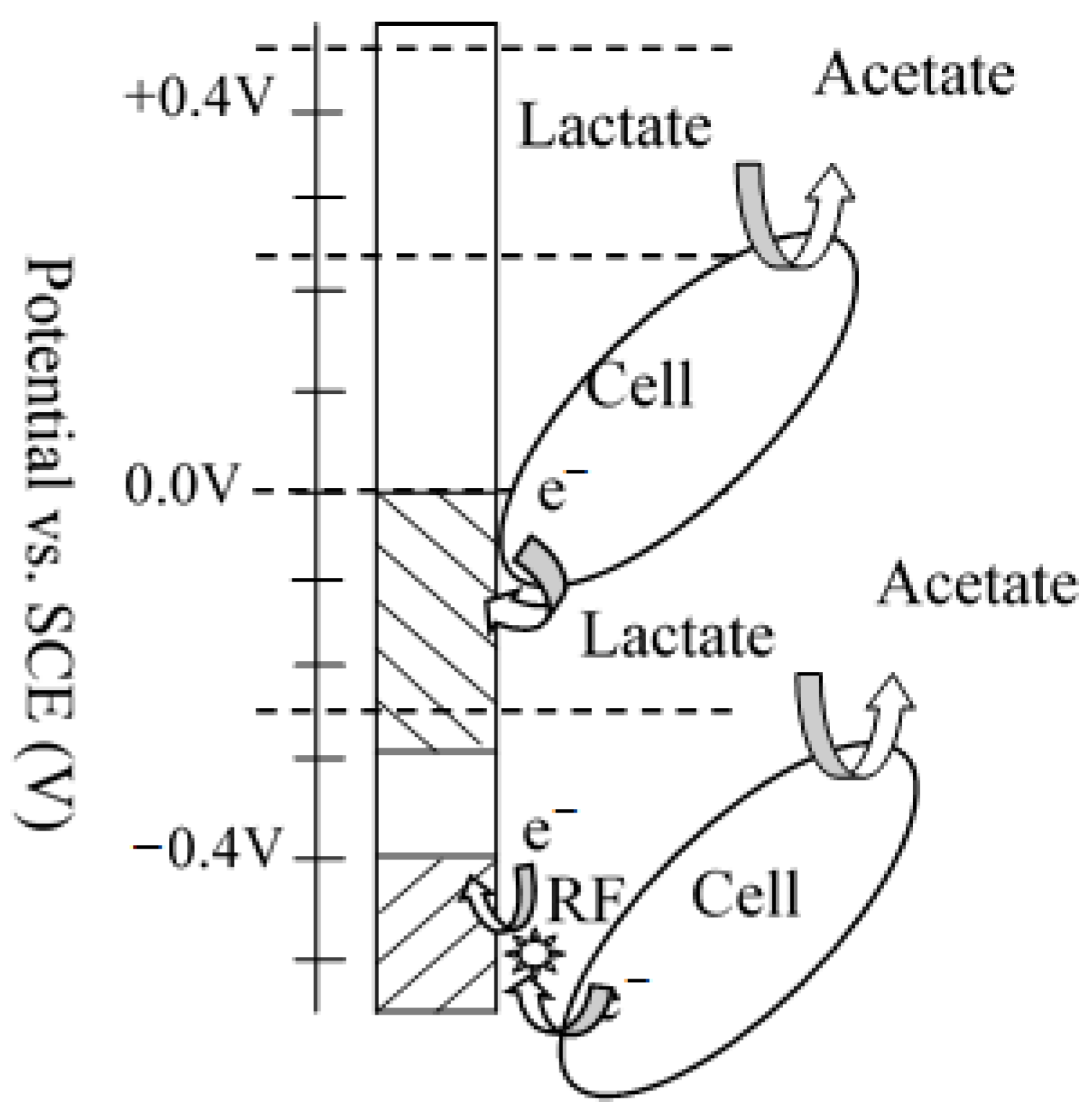Molecules 27 05330 g002