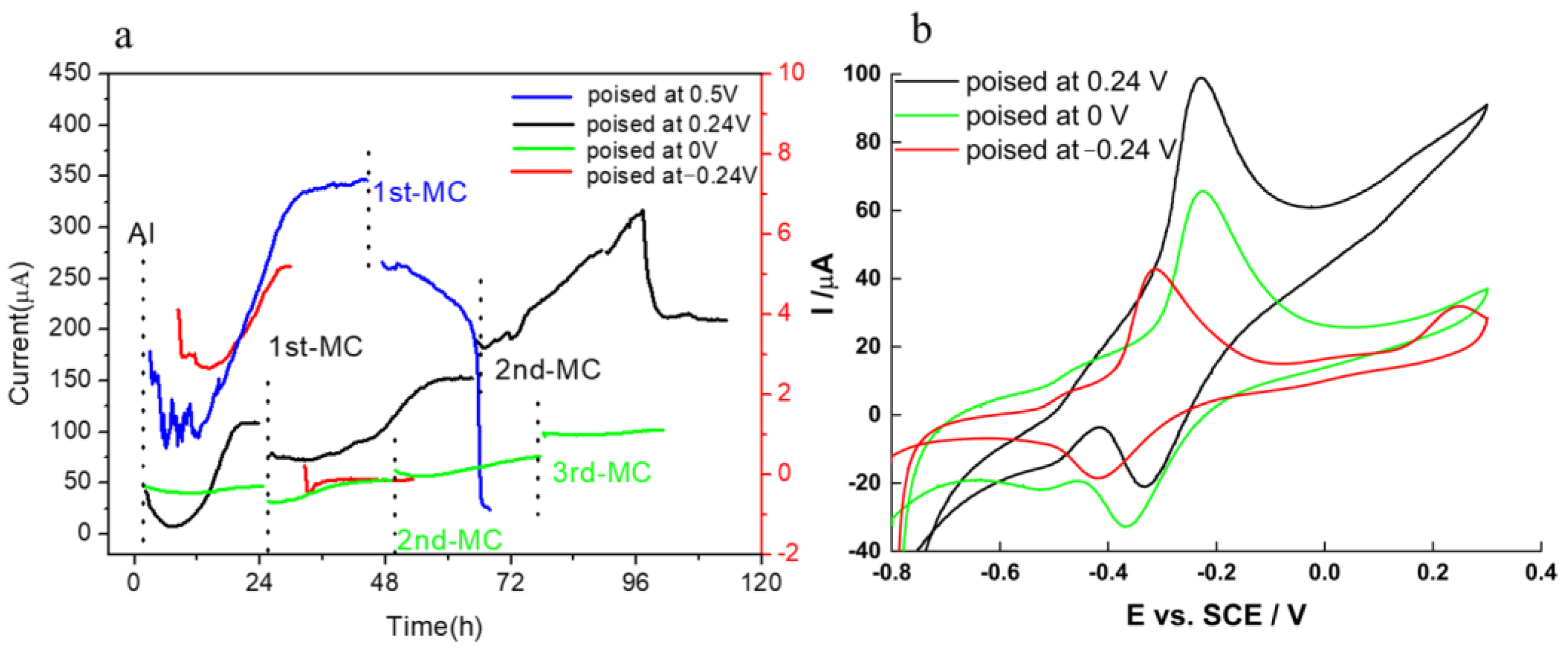 Molecules 27 05330 g003