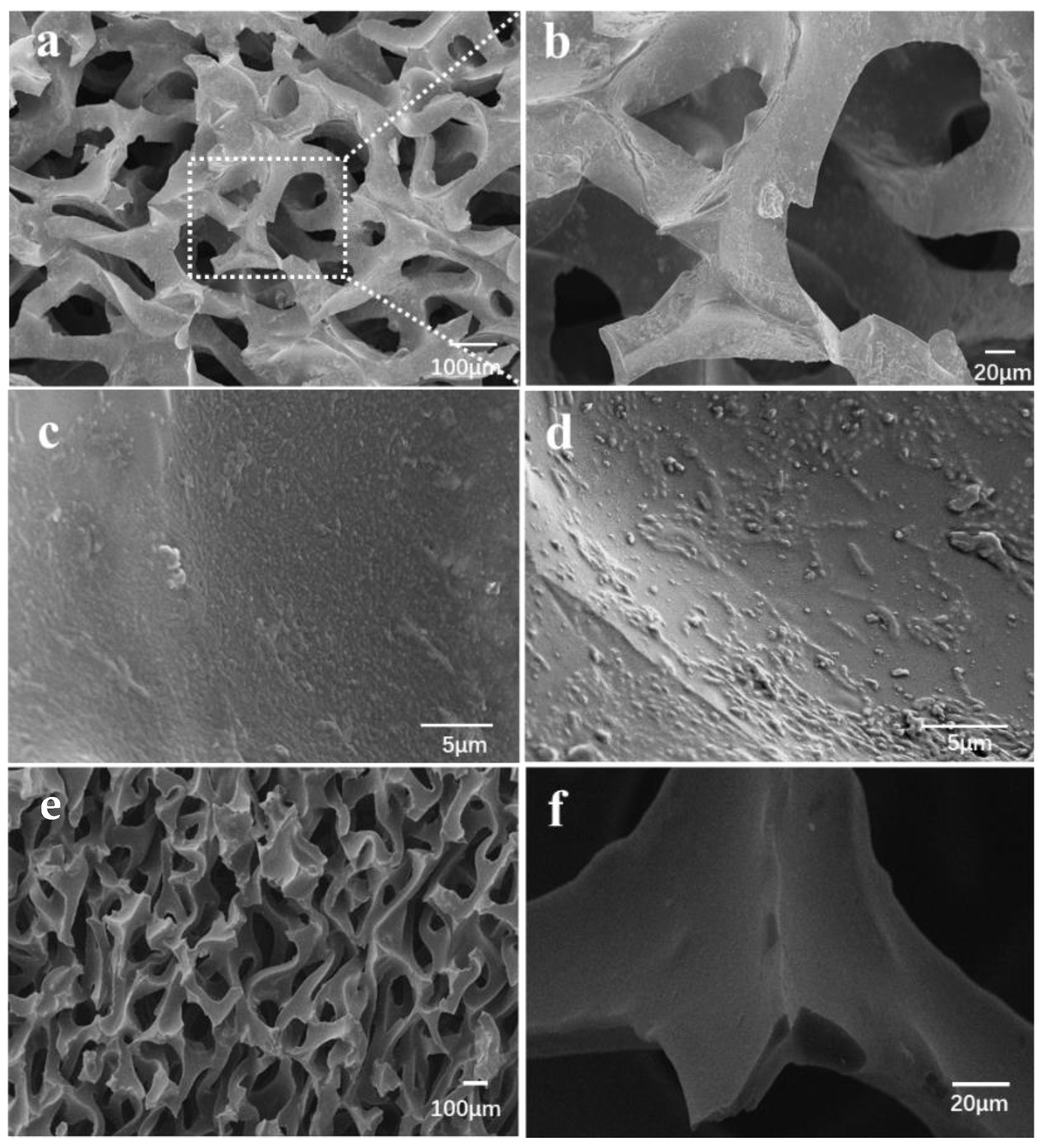 Molecules 27 05330 g004