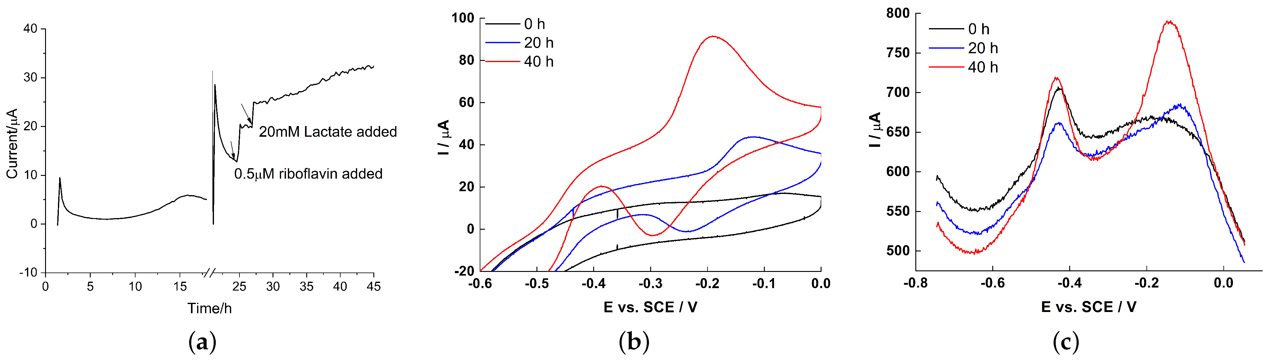 Molecules 27 05330 g005