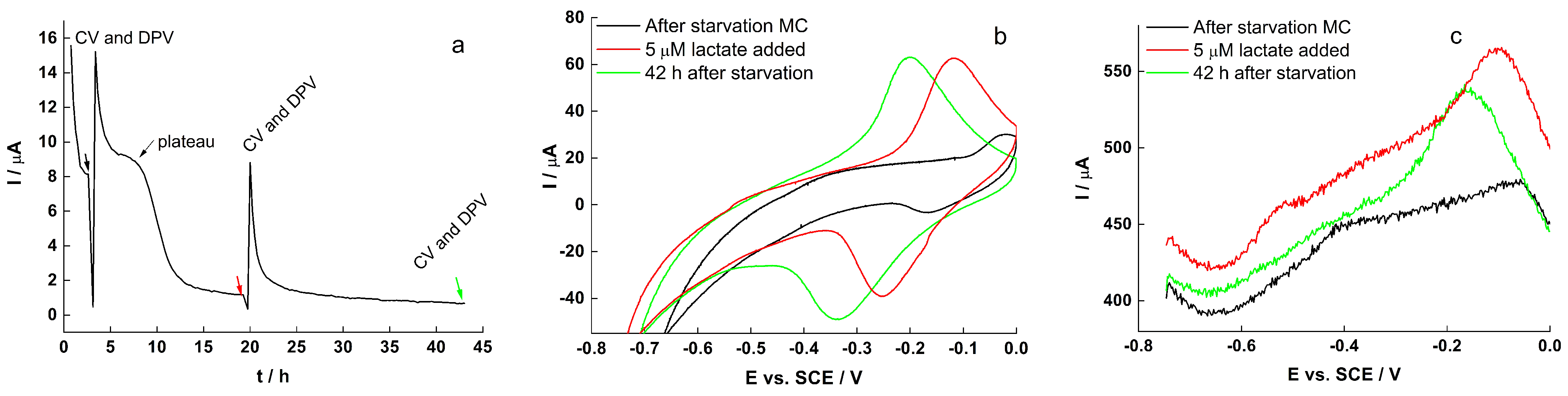 Molecules 27 05330 g006
