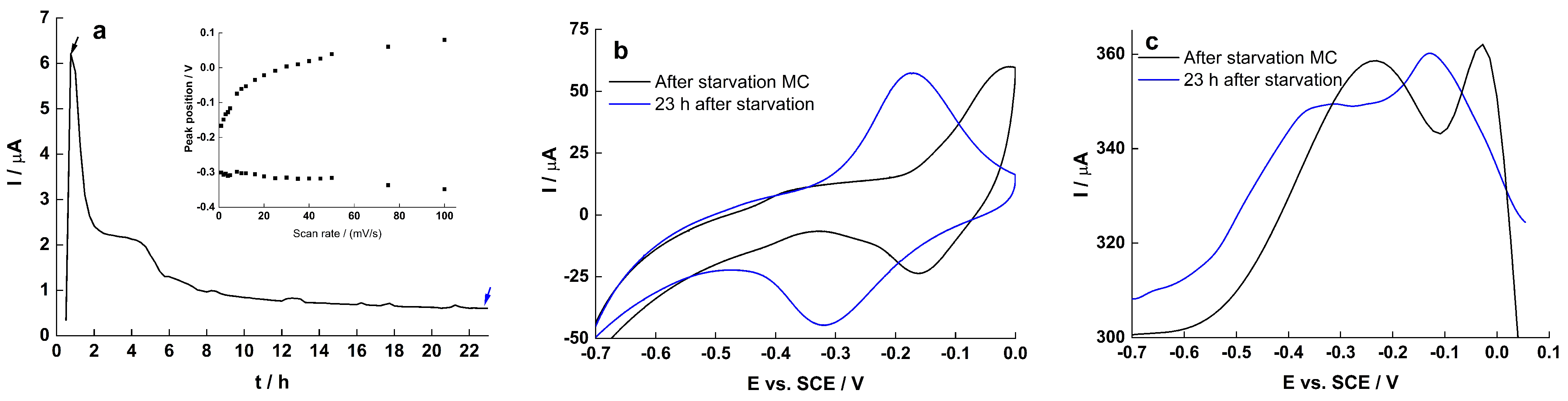 Molecules 27 05330 g008