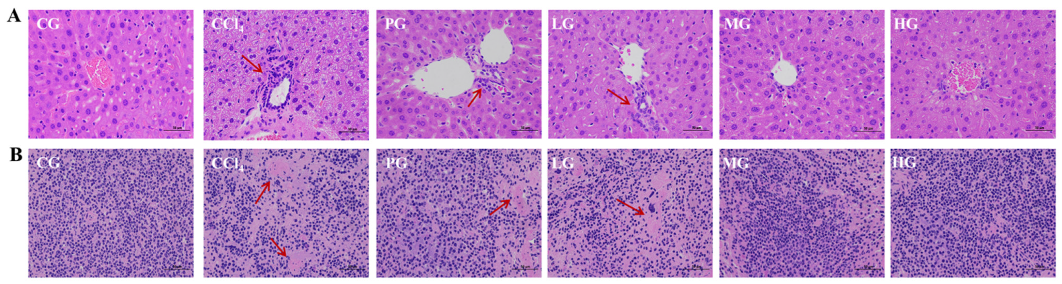 Molecules 27 05347 g003
