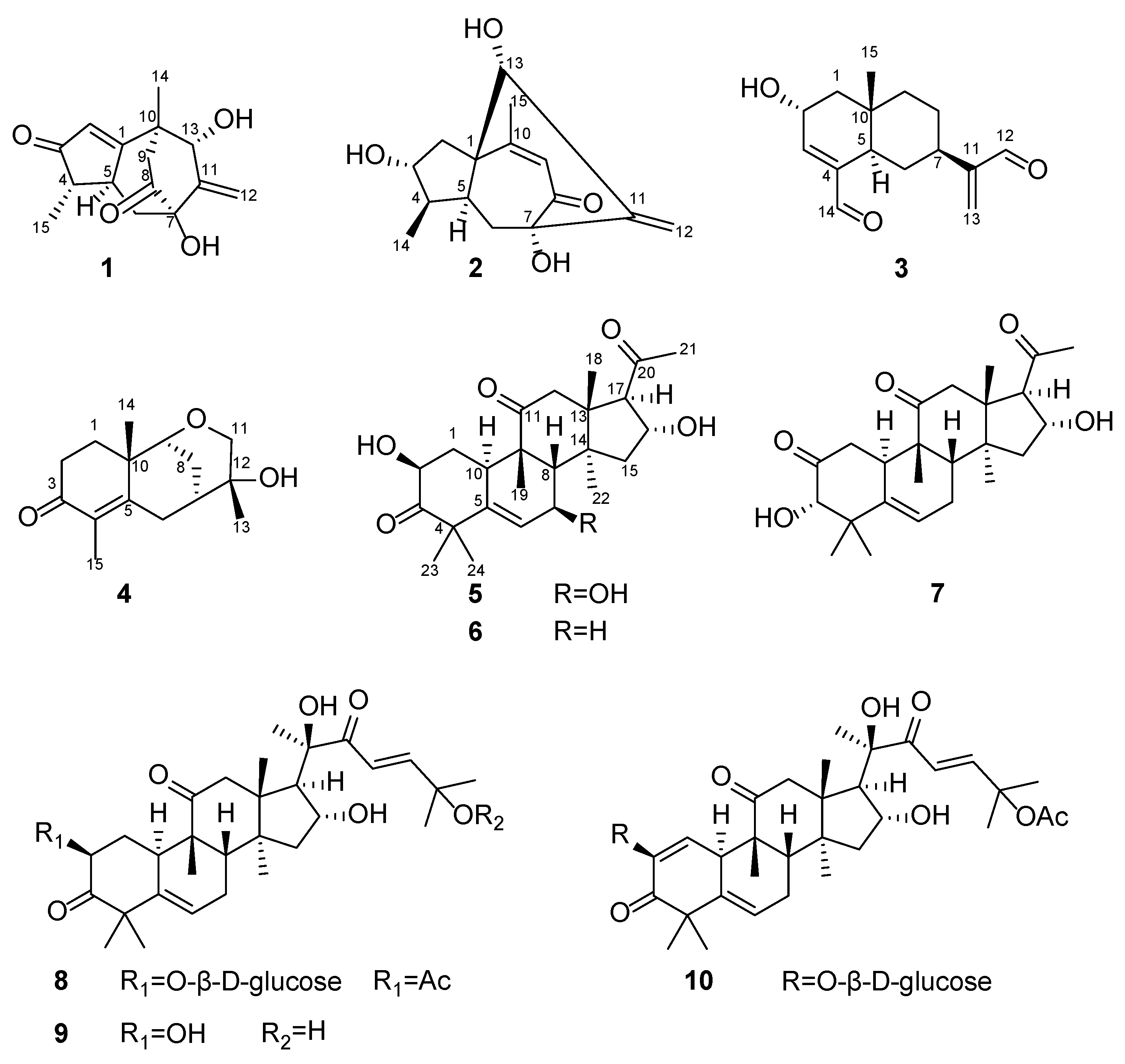 Molecules 27 05350 g001