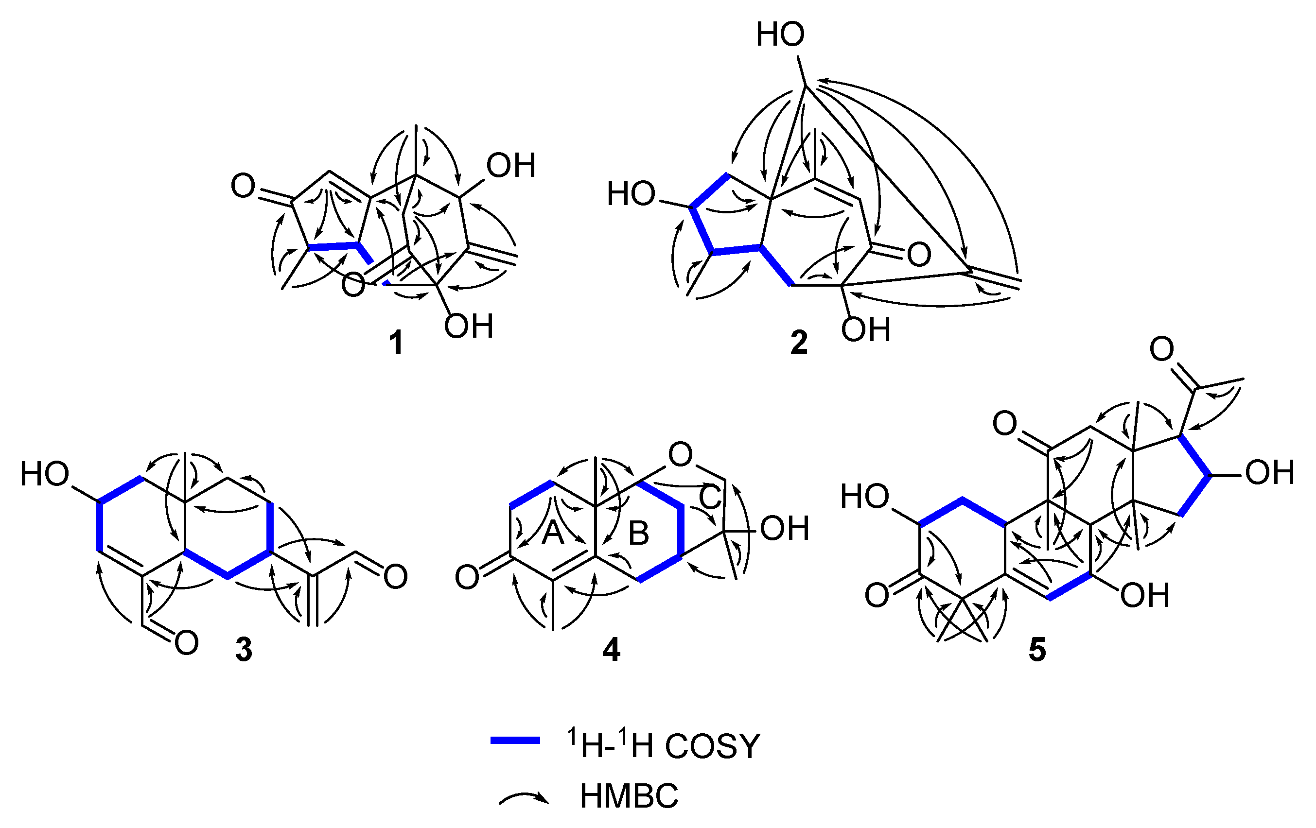 Molecules 27 05350 g002