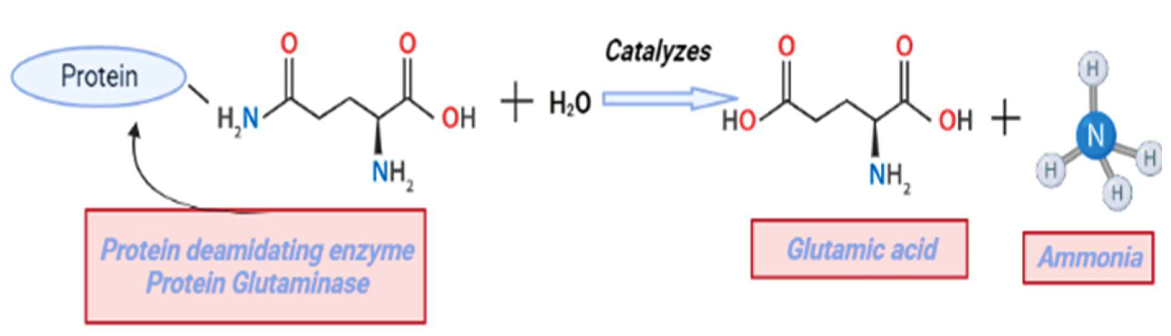 Molecules 27 05354 g005