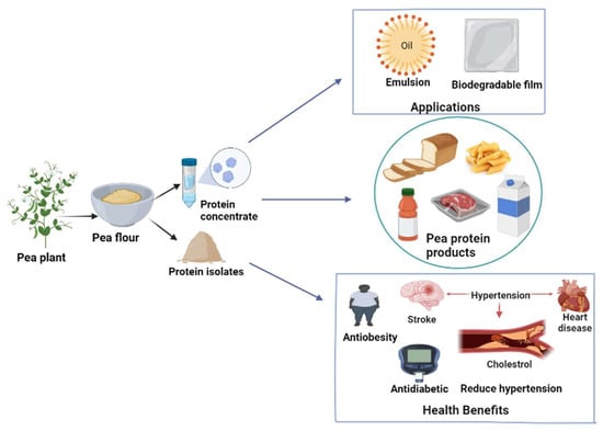 Applicability of pea ingredients in baked products: Links between