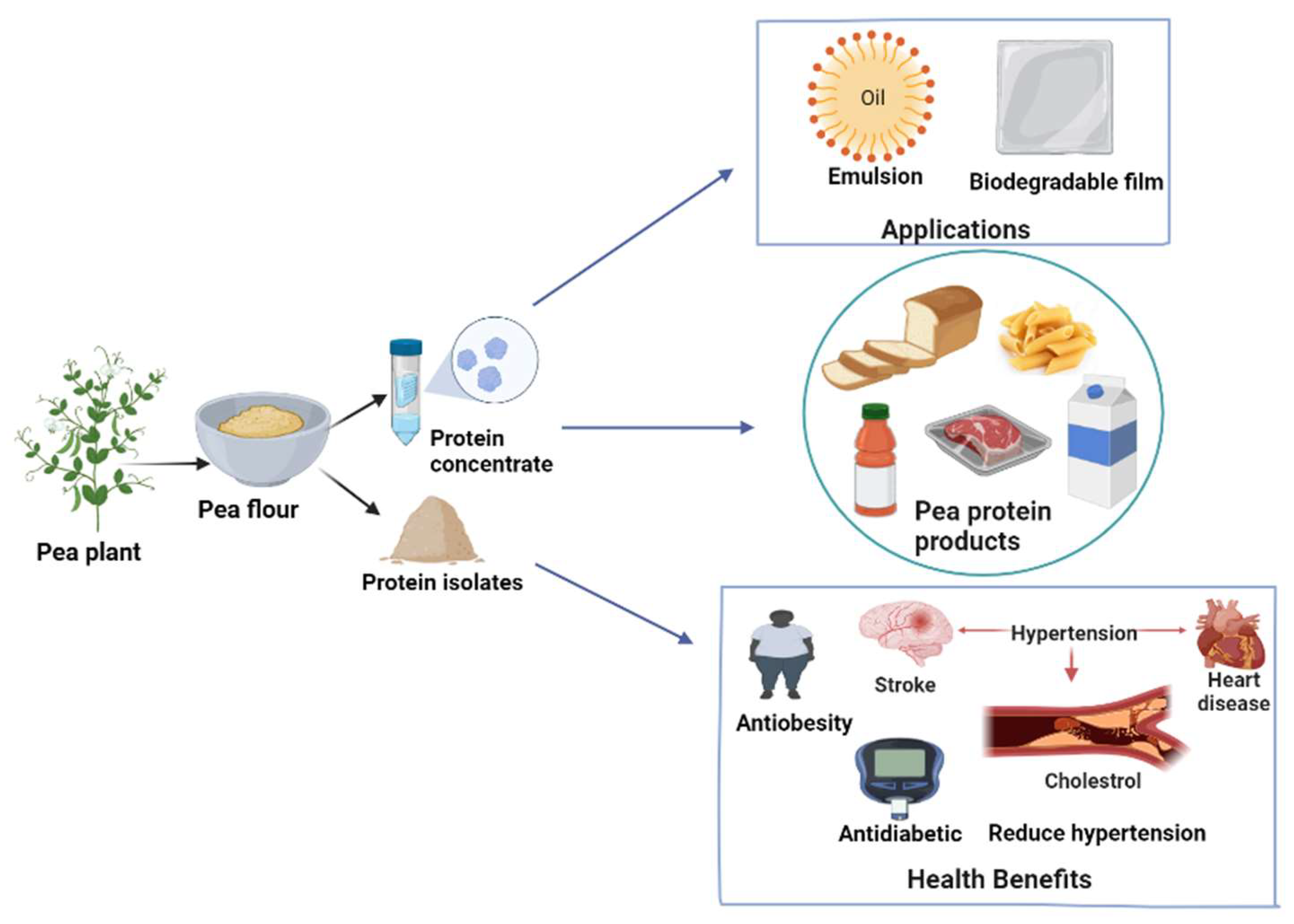 What is a Food Emulsifier and What Are Its Benefits? – Cape