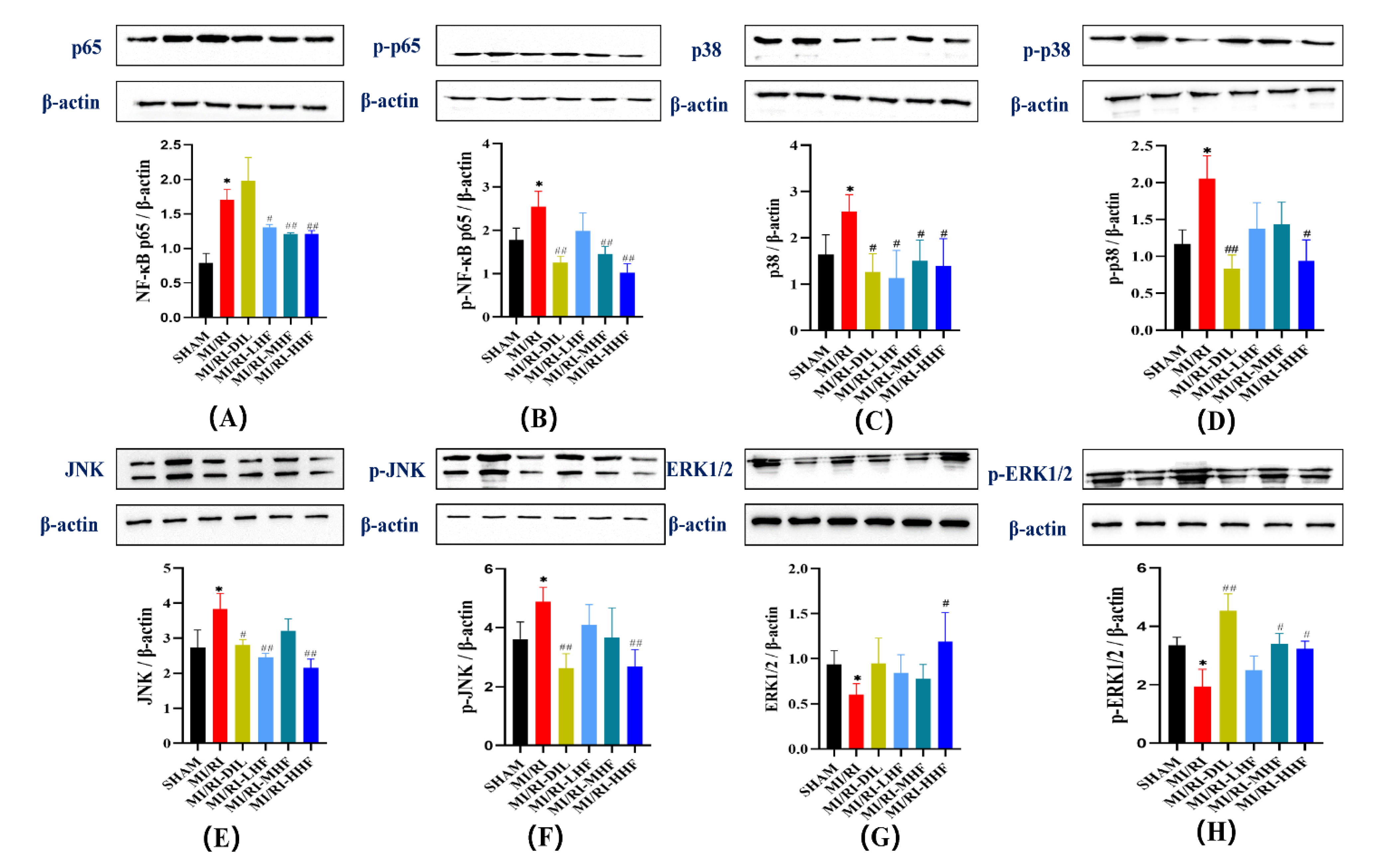 Molecules 27 05371 g009