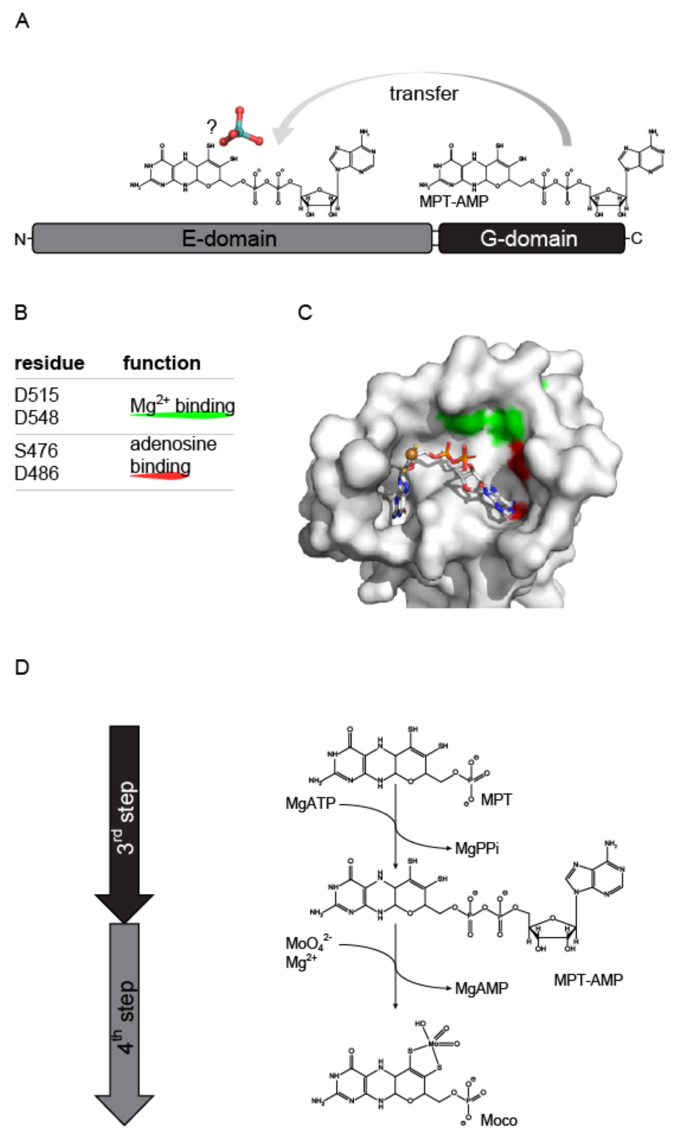 Molecules 27 05372 g005