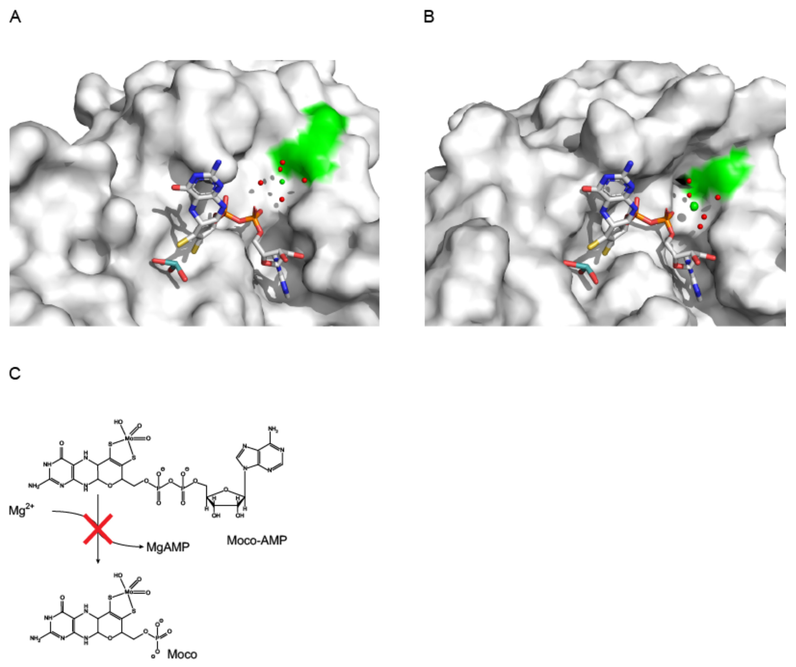 Molecules 27 05372 g008