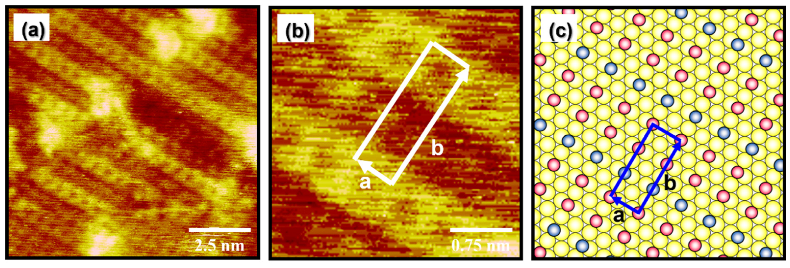 Molecules 27 05377 g004