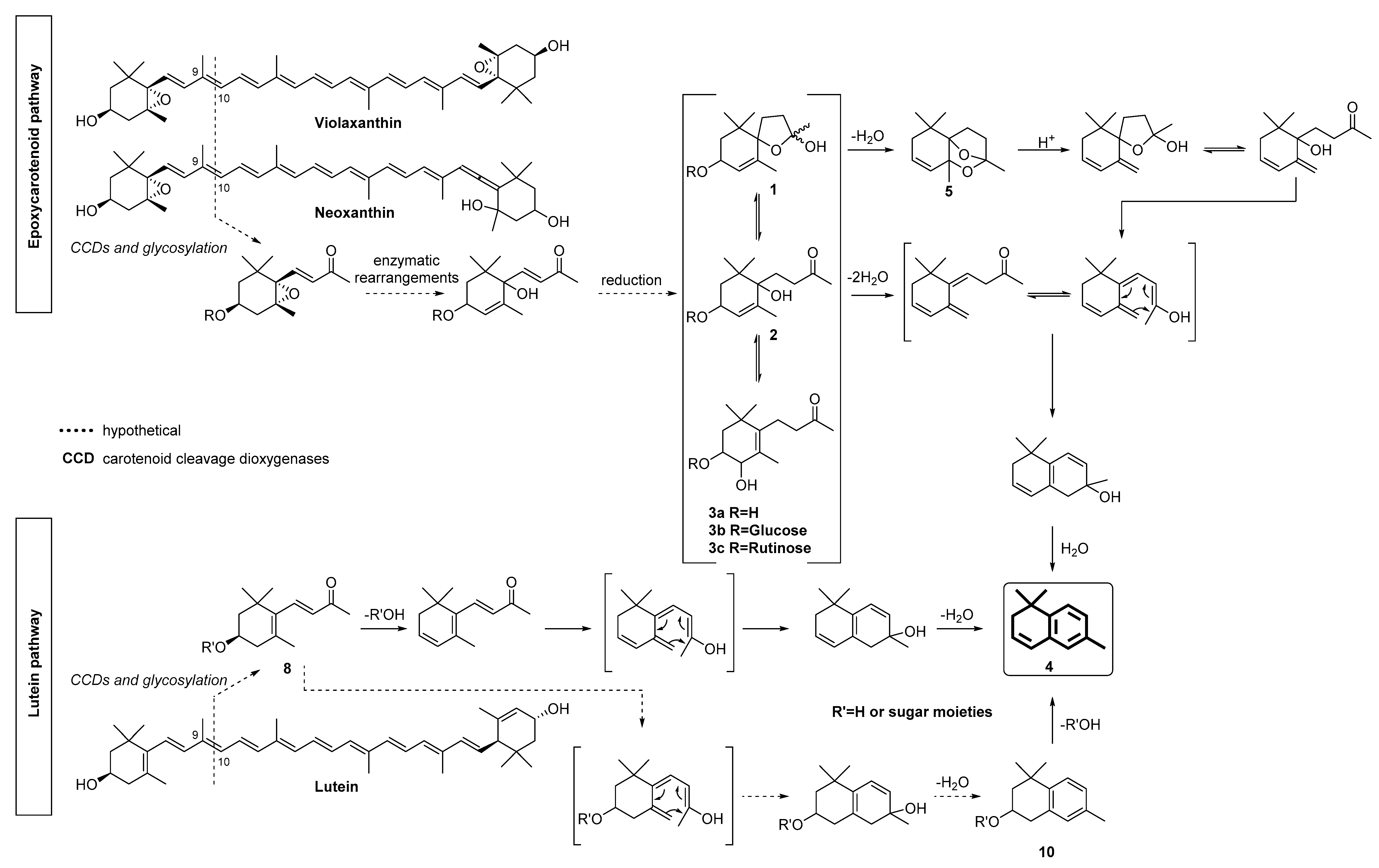 Molecules 27 05378 g001 Molecules 27 05378 g001