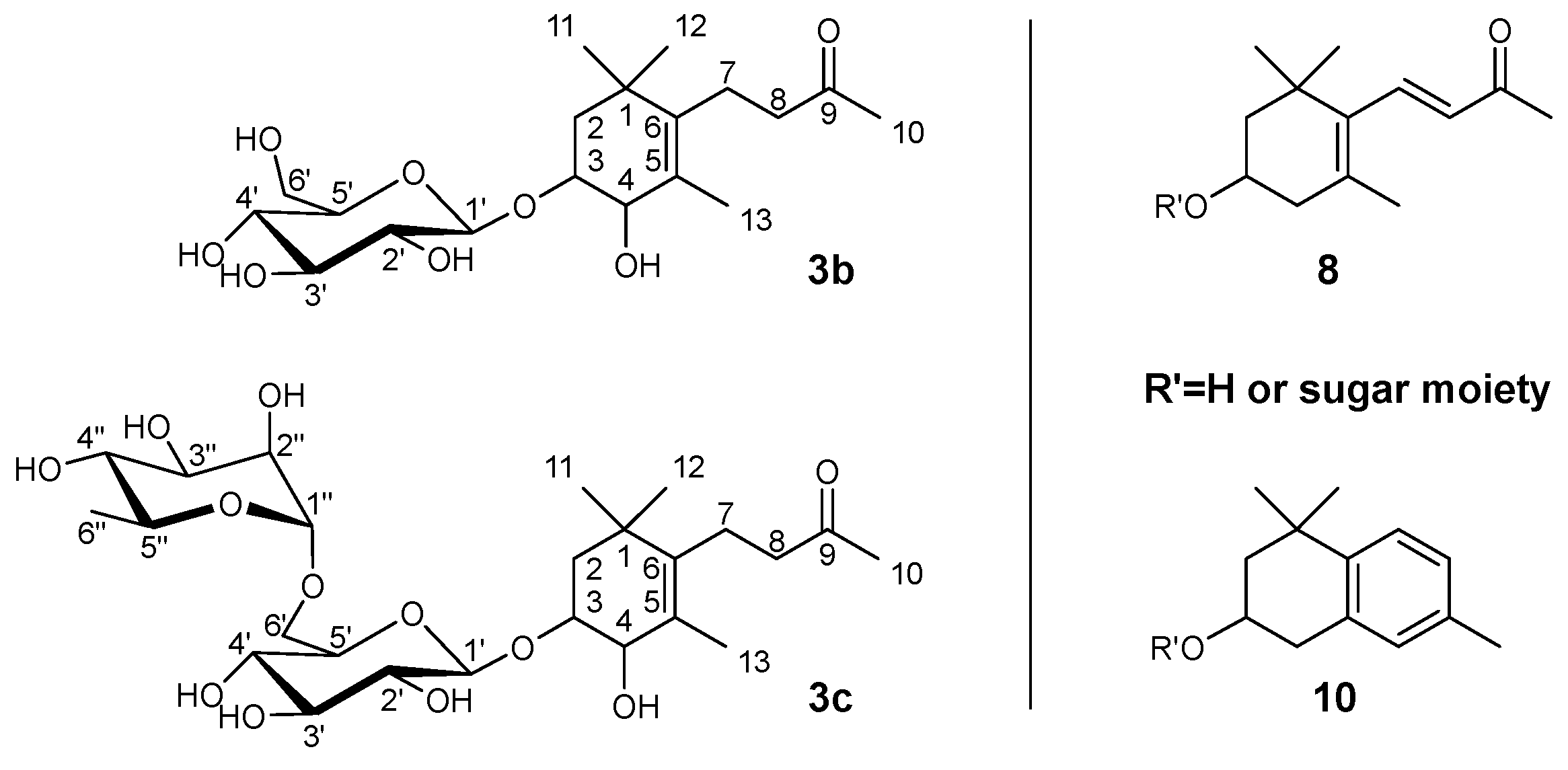 Molecules 27 05378 g003 Molecules 27 05378 g003