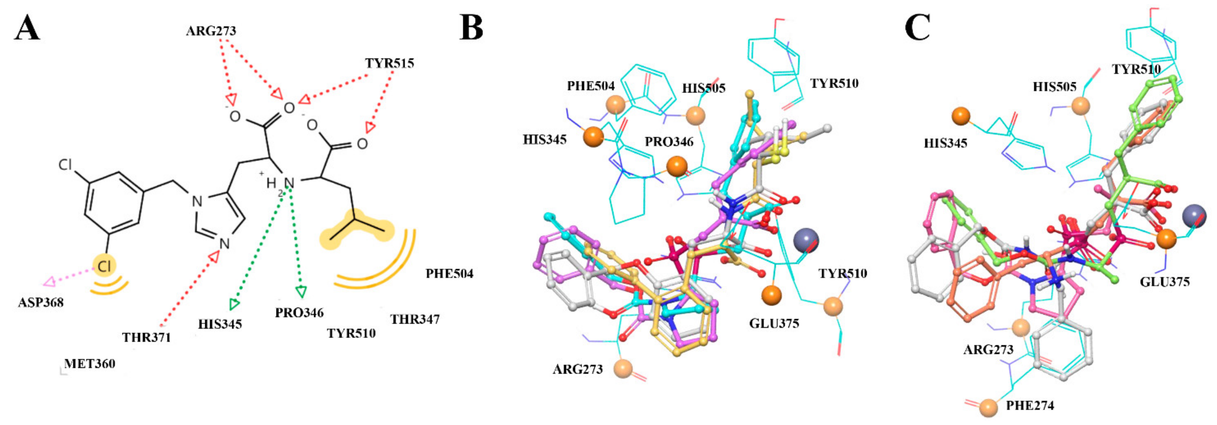 Molecules 27 05400 g003