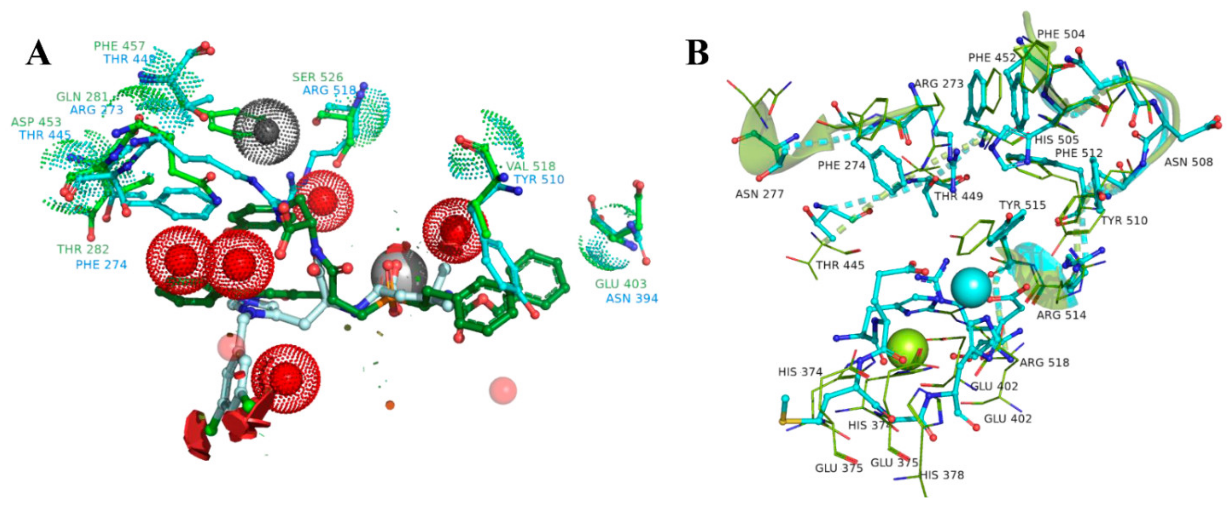Molecules 27 05400 g006