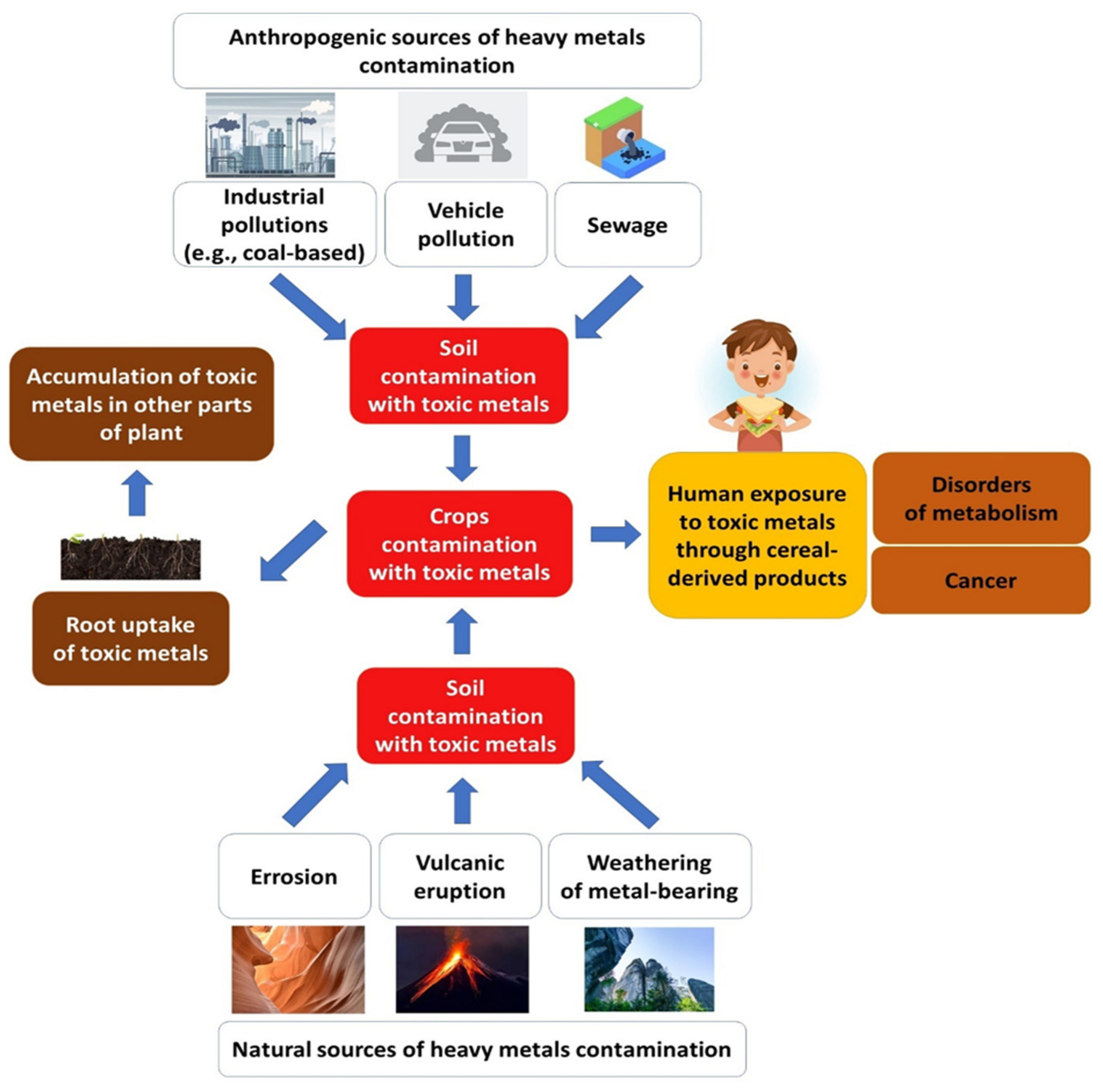 Molecules 27 05406 g005
