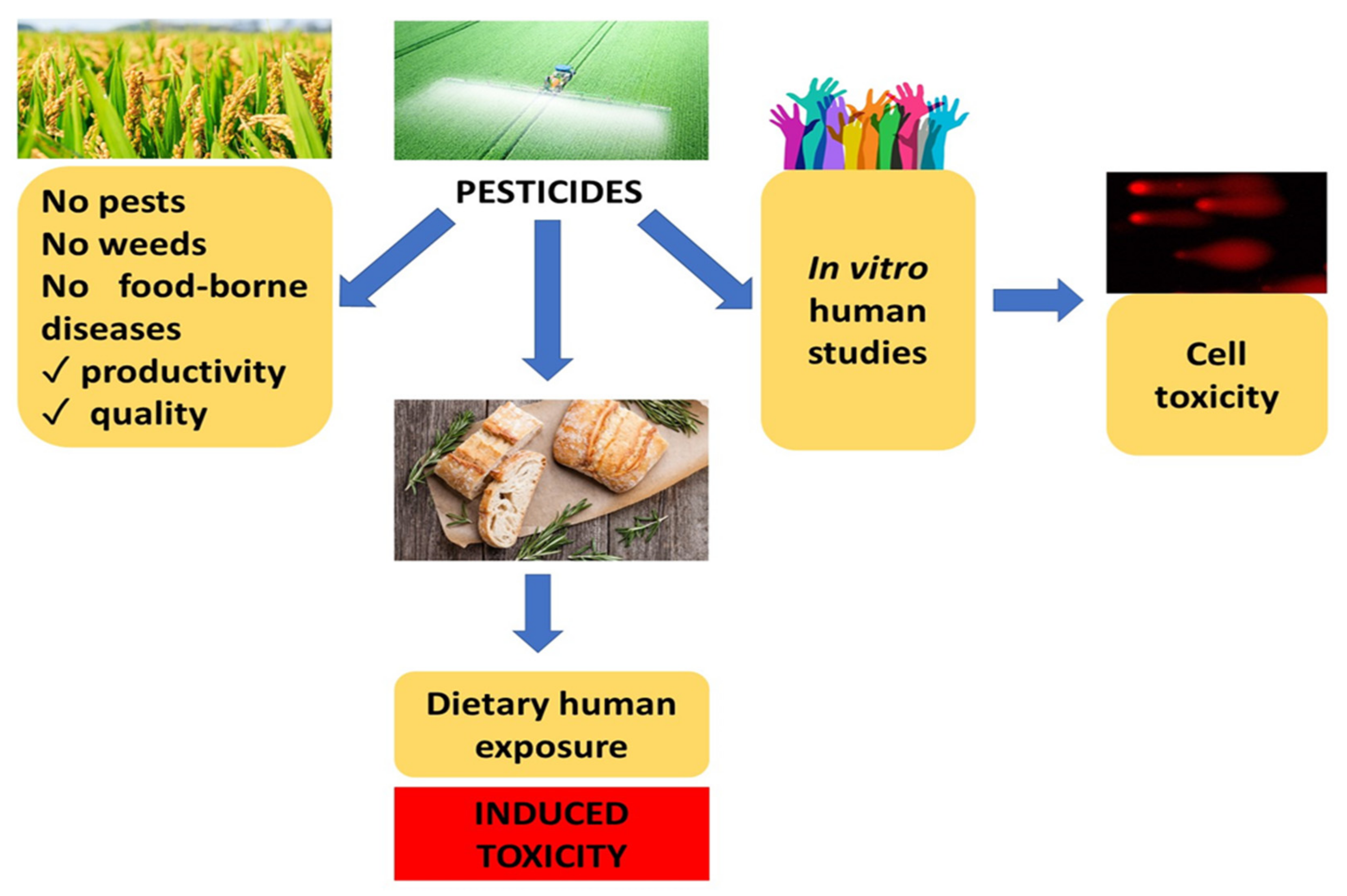 Molecules 27 05406 g006
