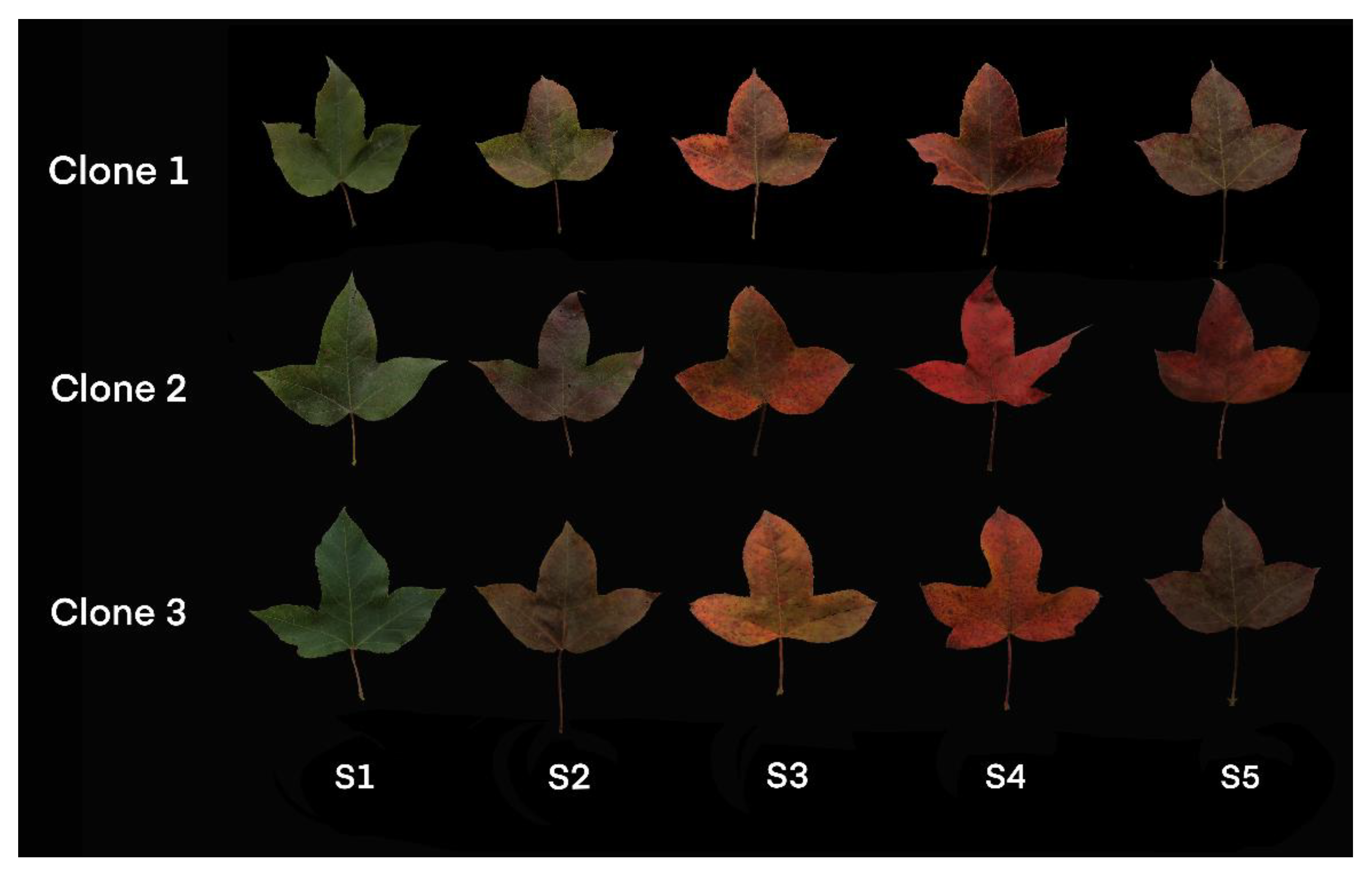 Molecules 27 05433 g007