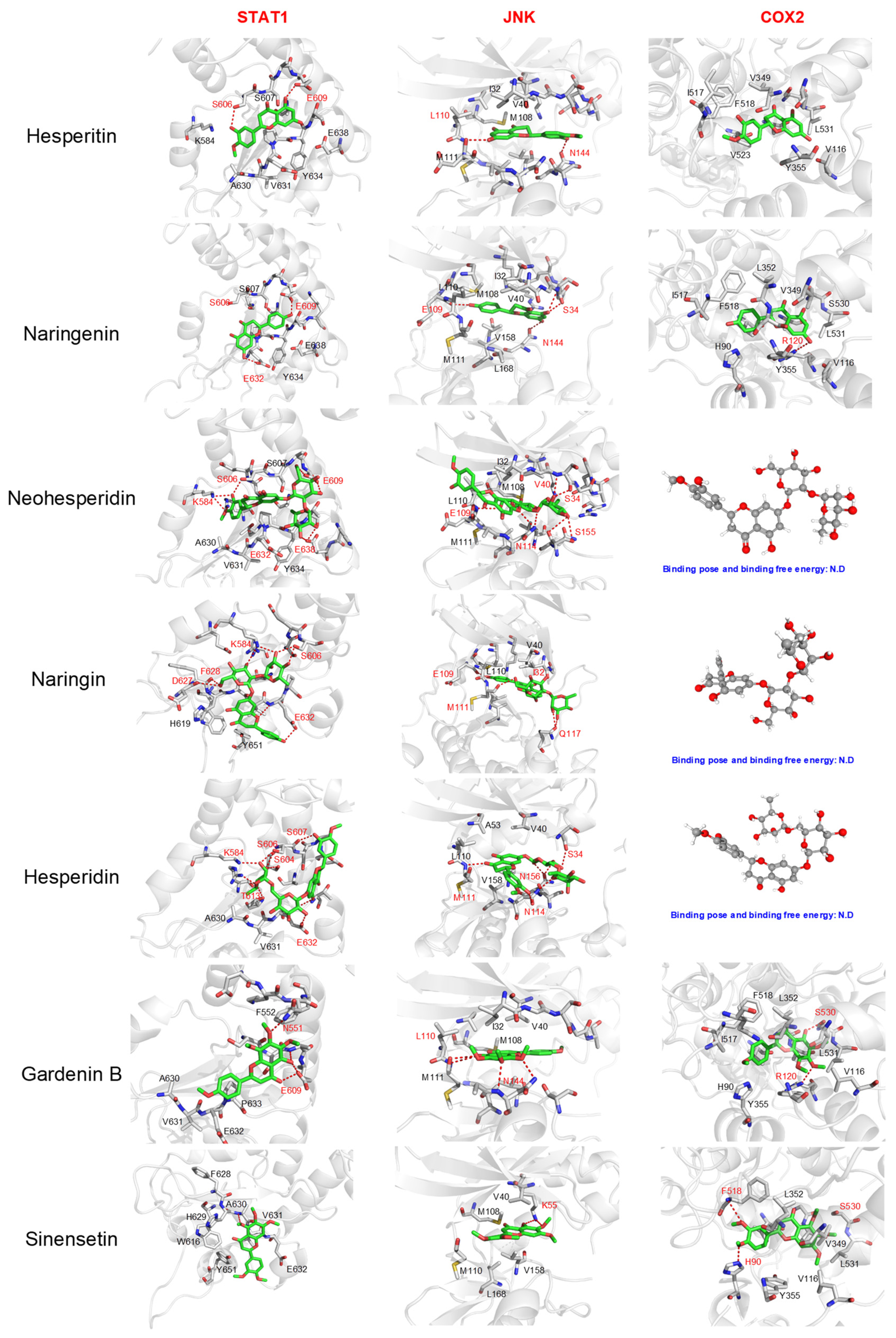 Molecules 27 05435 g005