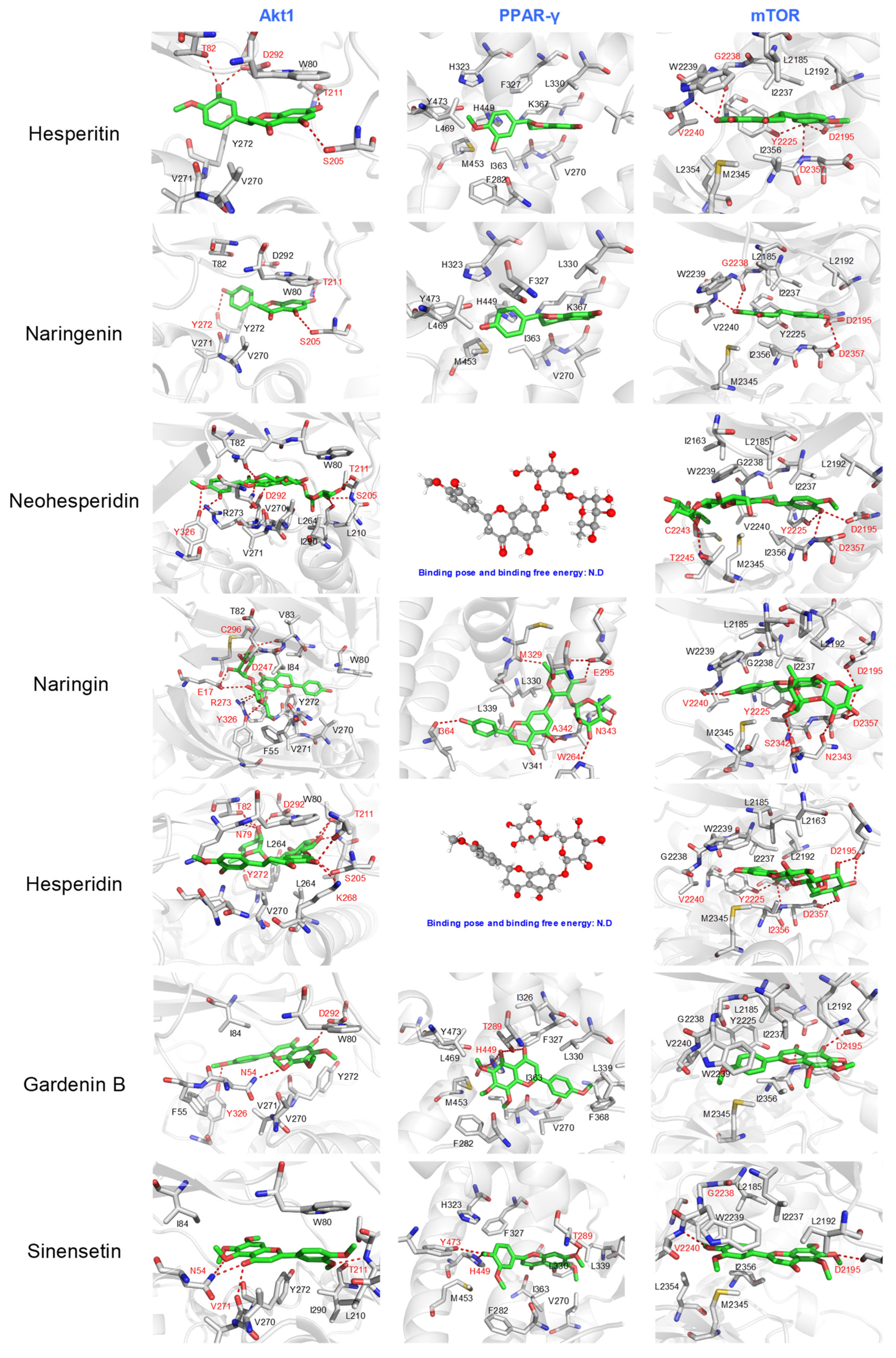 Molecules 27 05435 g006