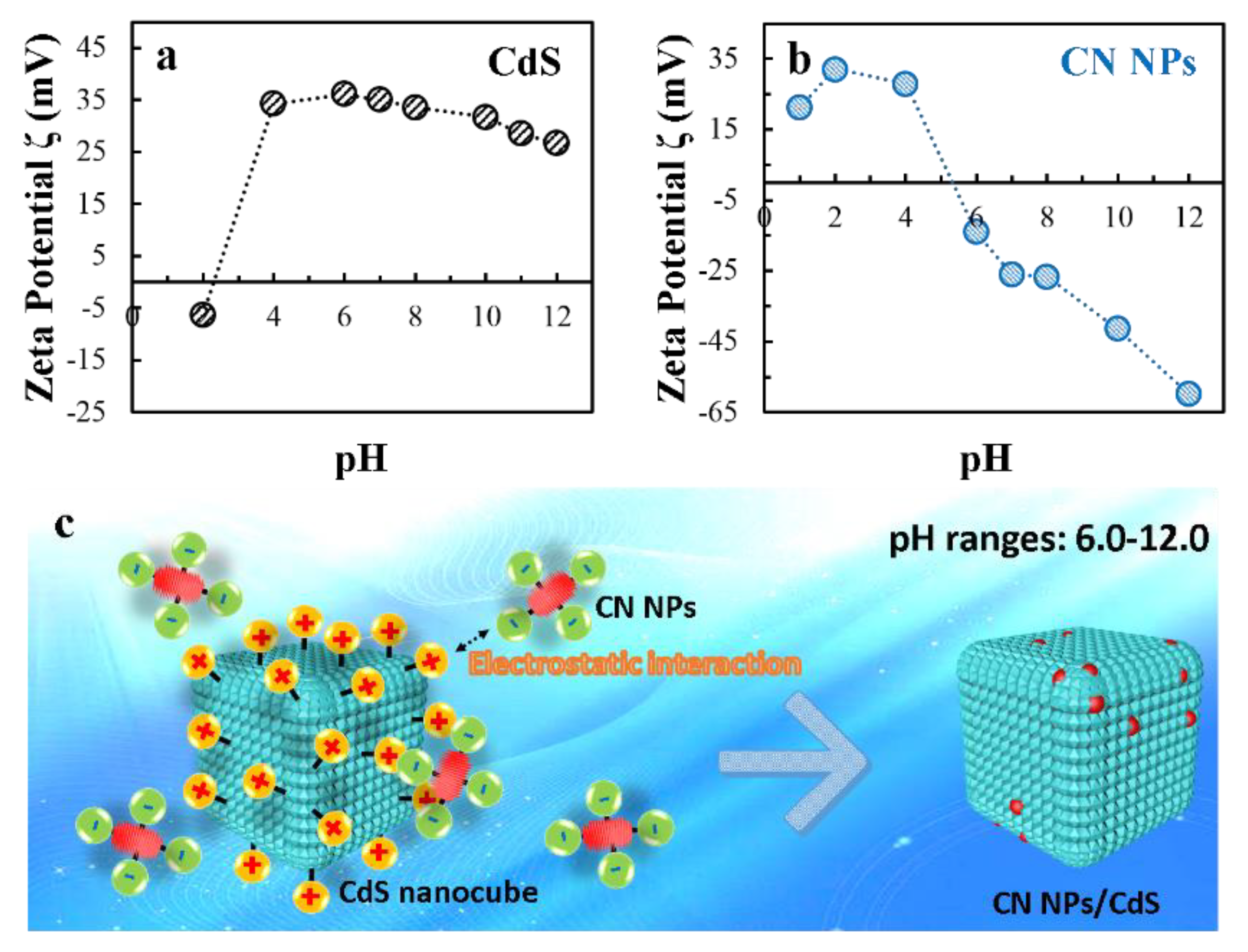 Molecules 27 05438 g001