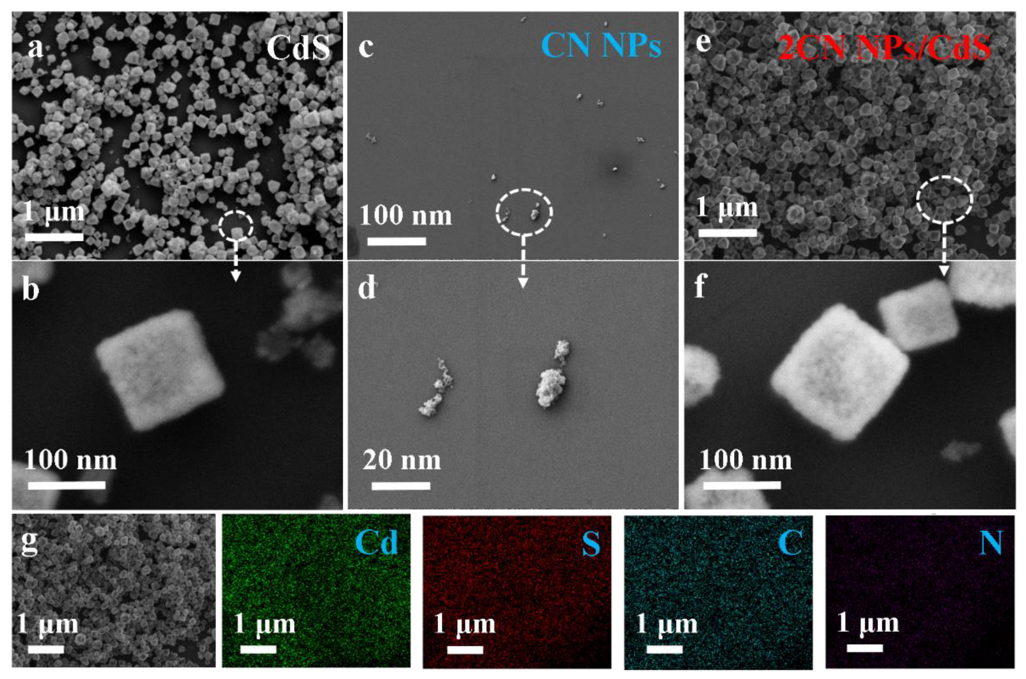 Molecules 27 05438 g003