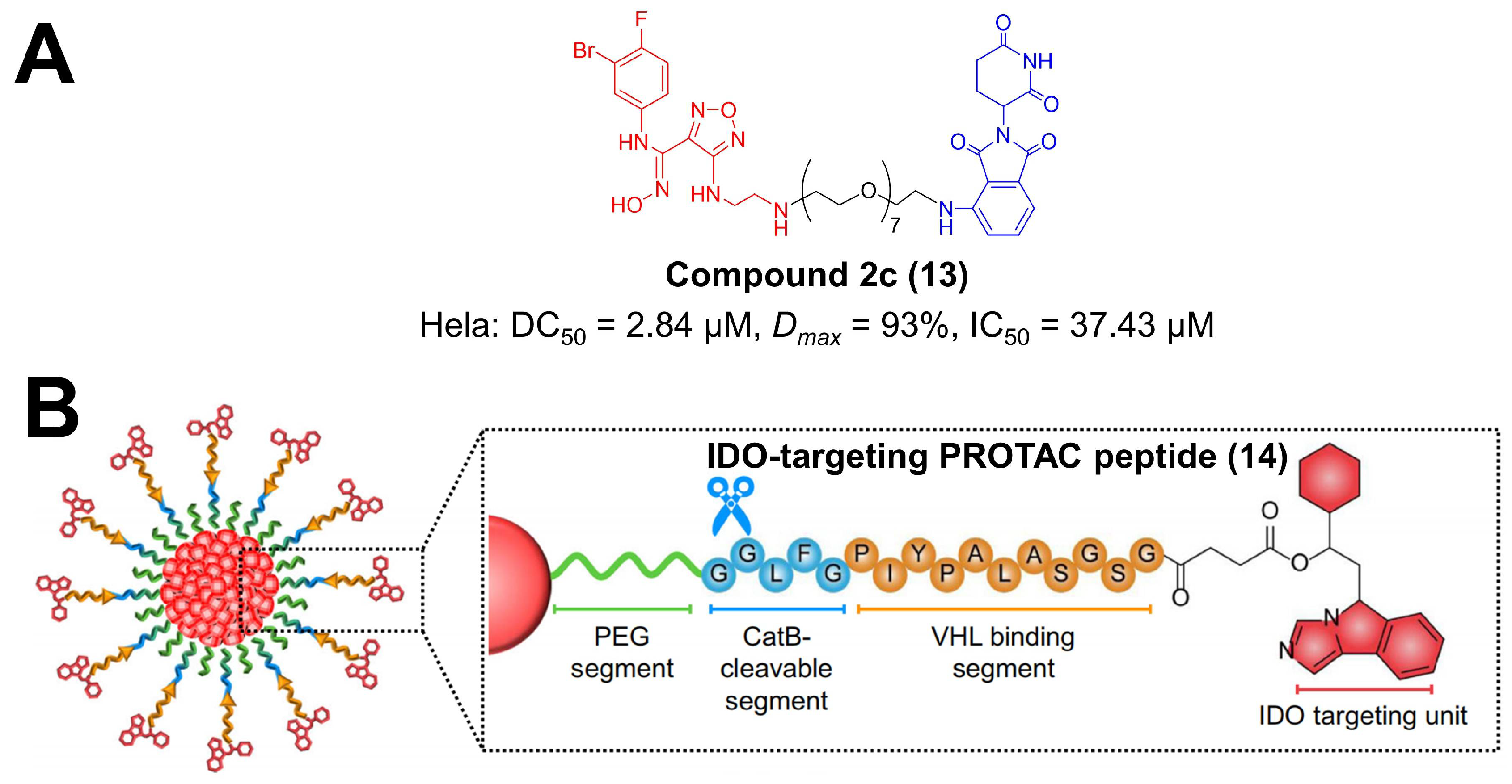 Molecules | Free Full-Text | Small-Molecule PROTACs For Cancer ...