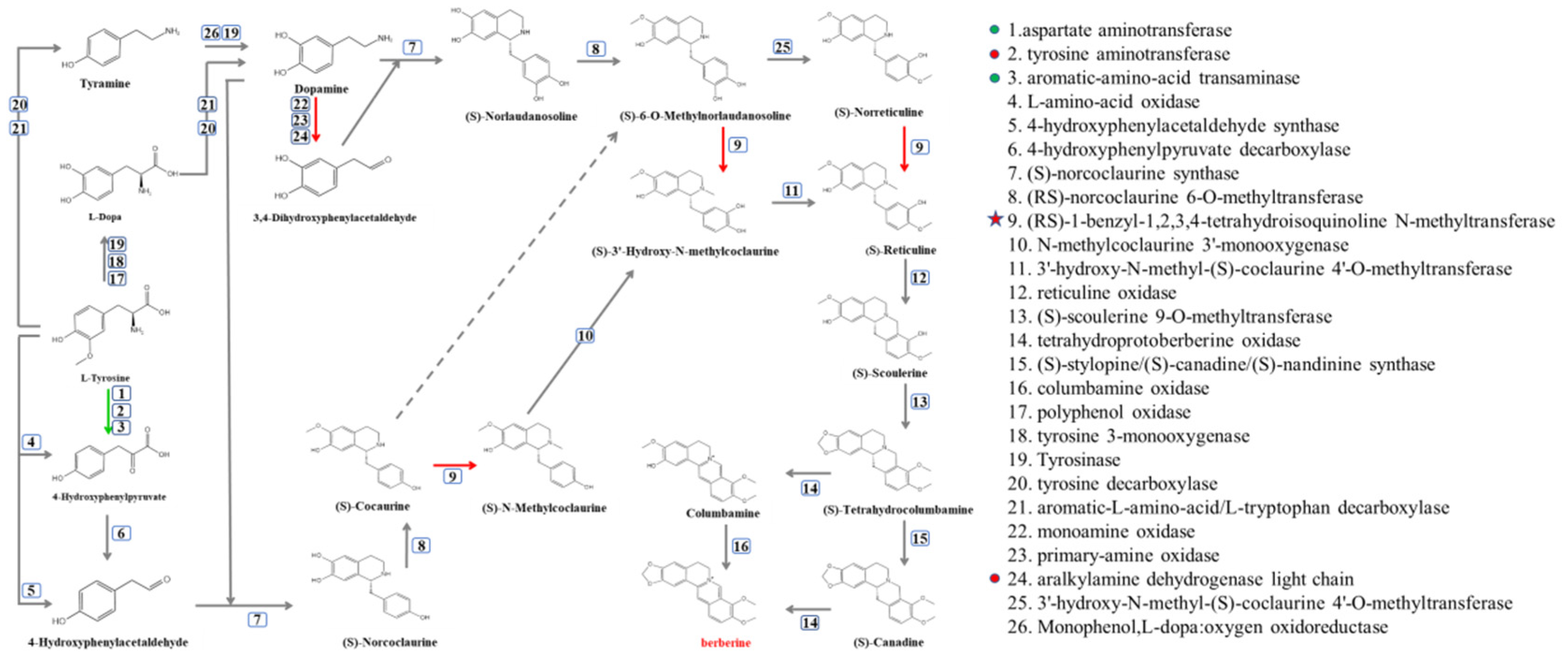 Molecules 27 05442 g005