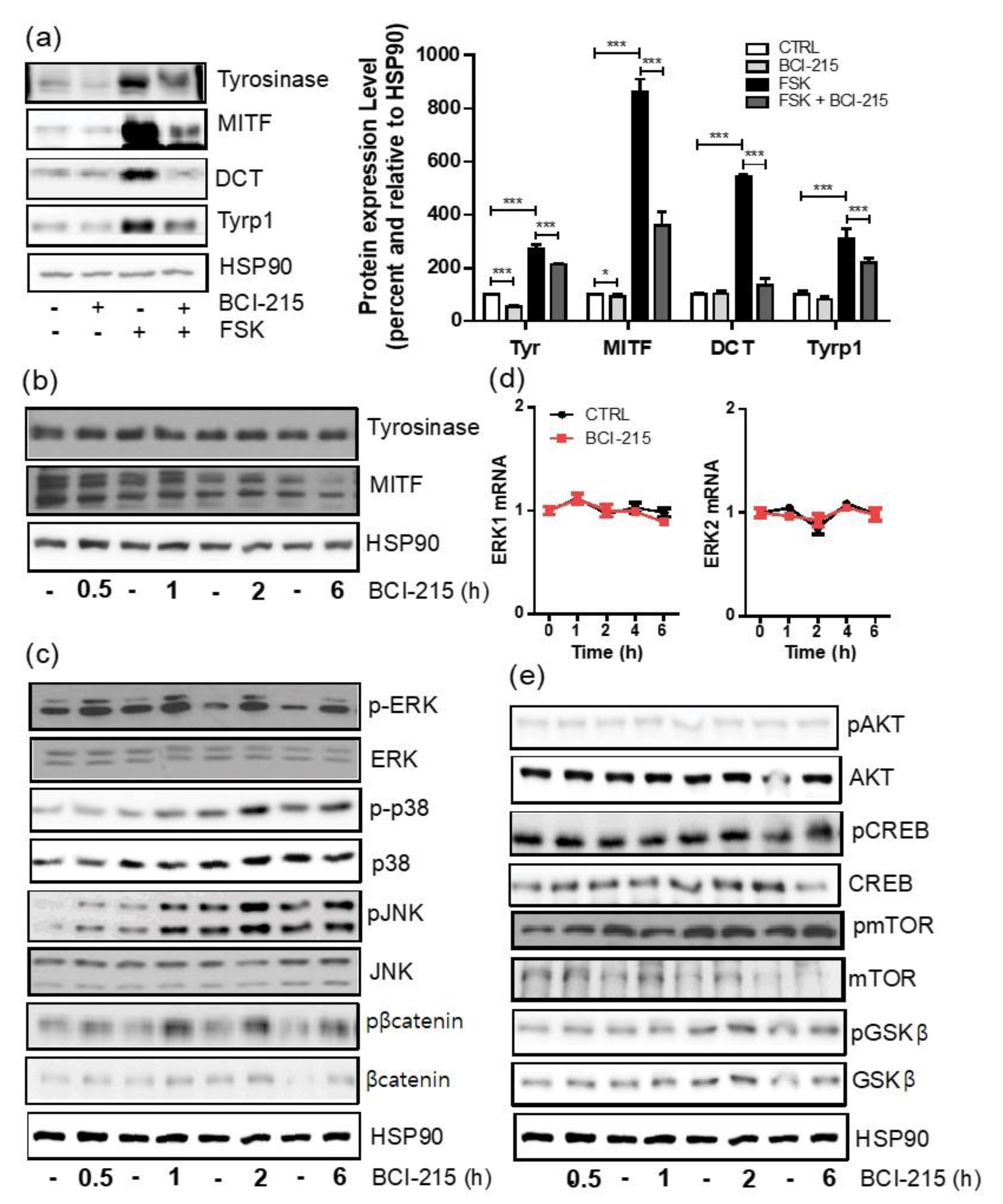 Molecules 27 05449 g004
