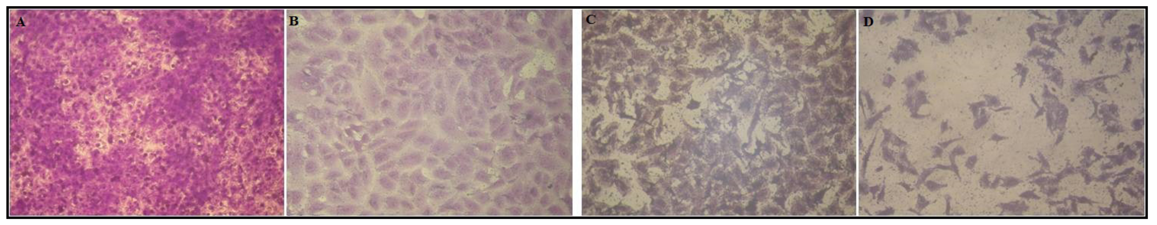 Molecules 27 05453 g003 Molecules 27 05453 g003