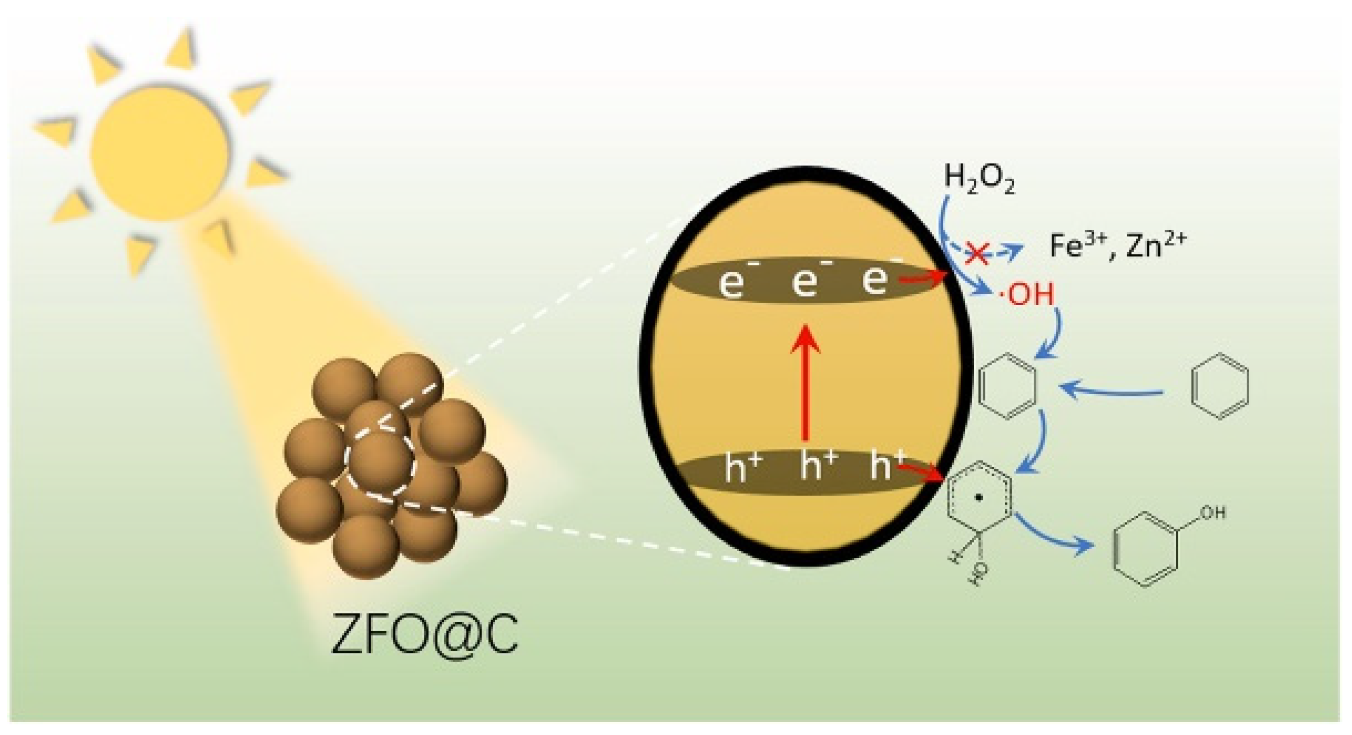 Molecules 27 05457 g007