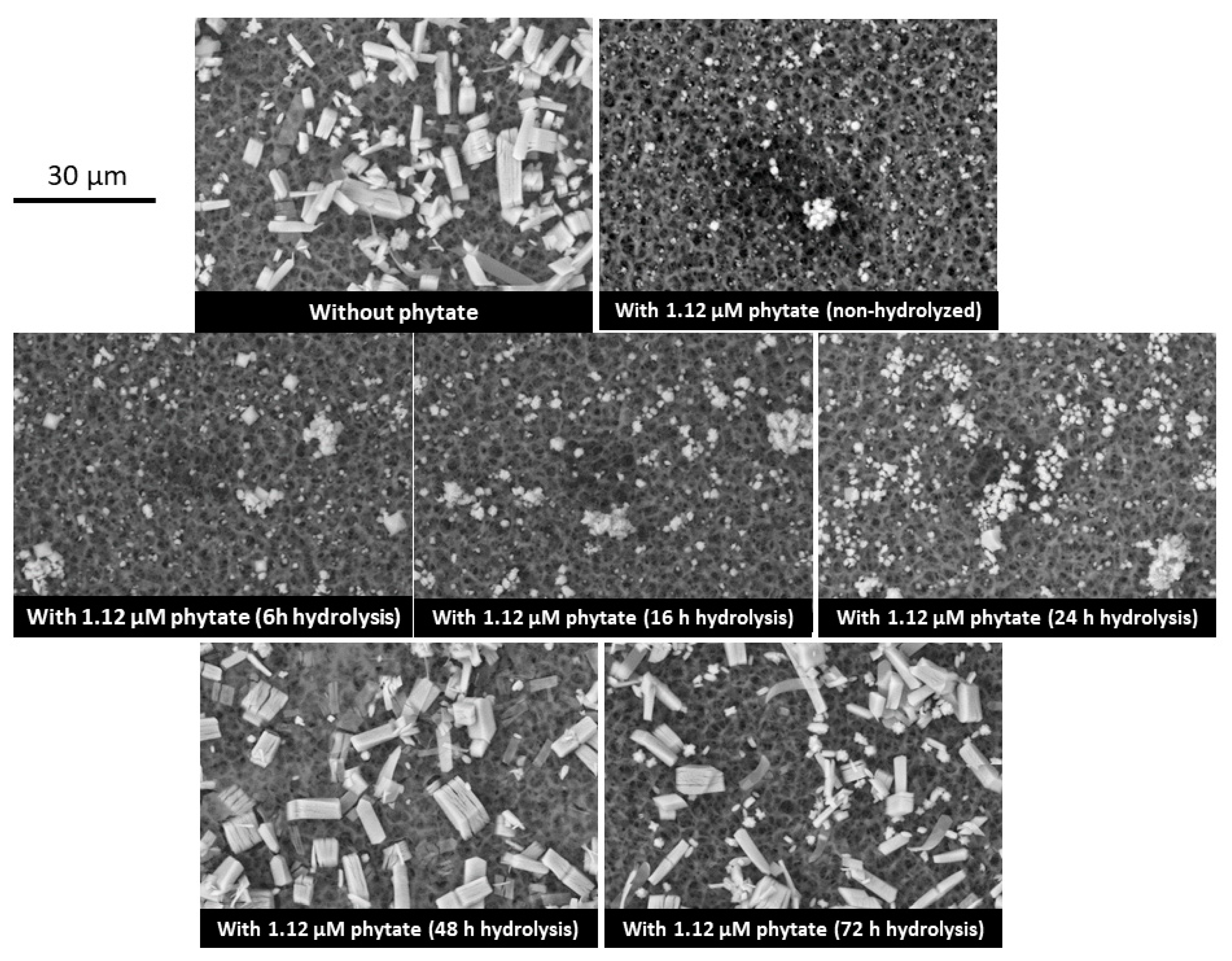 Molecules 27 05463 g003
