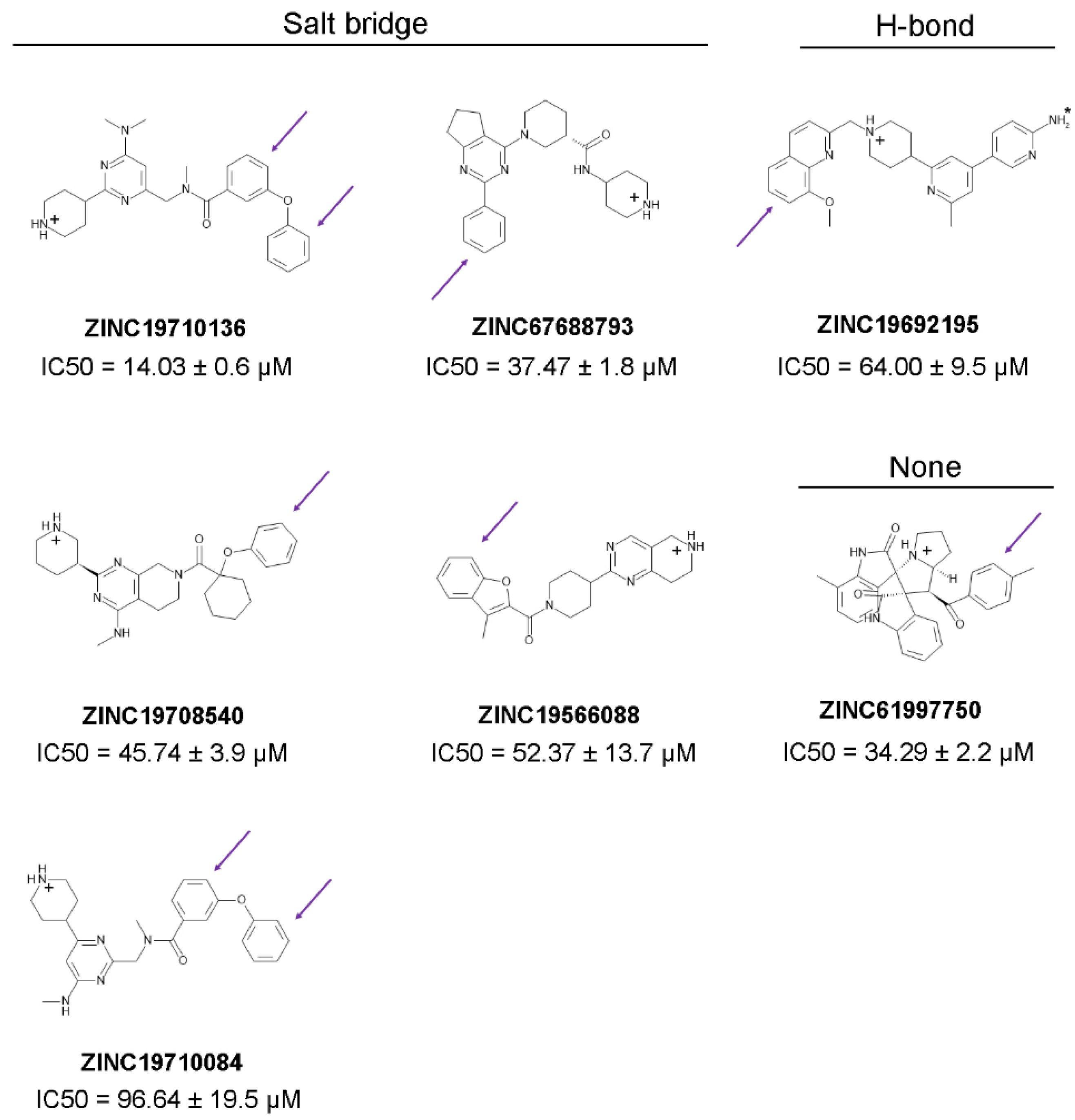 Molecules 27 05478 g013
