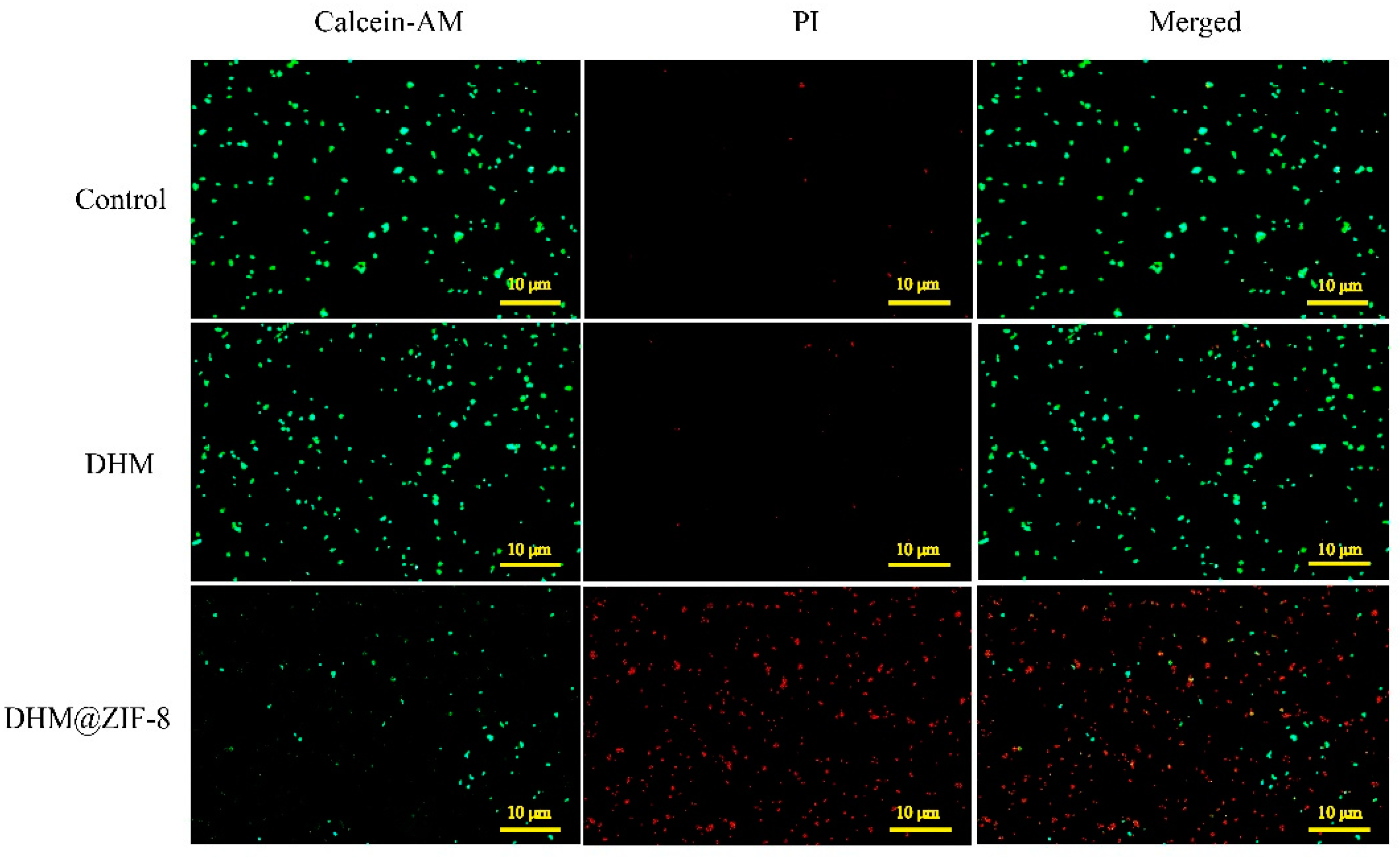 Molecules 27 05484 g005