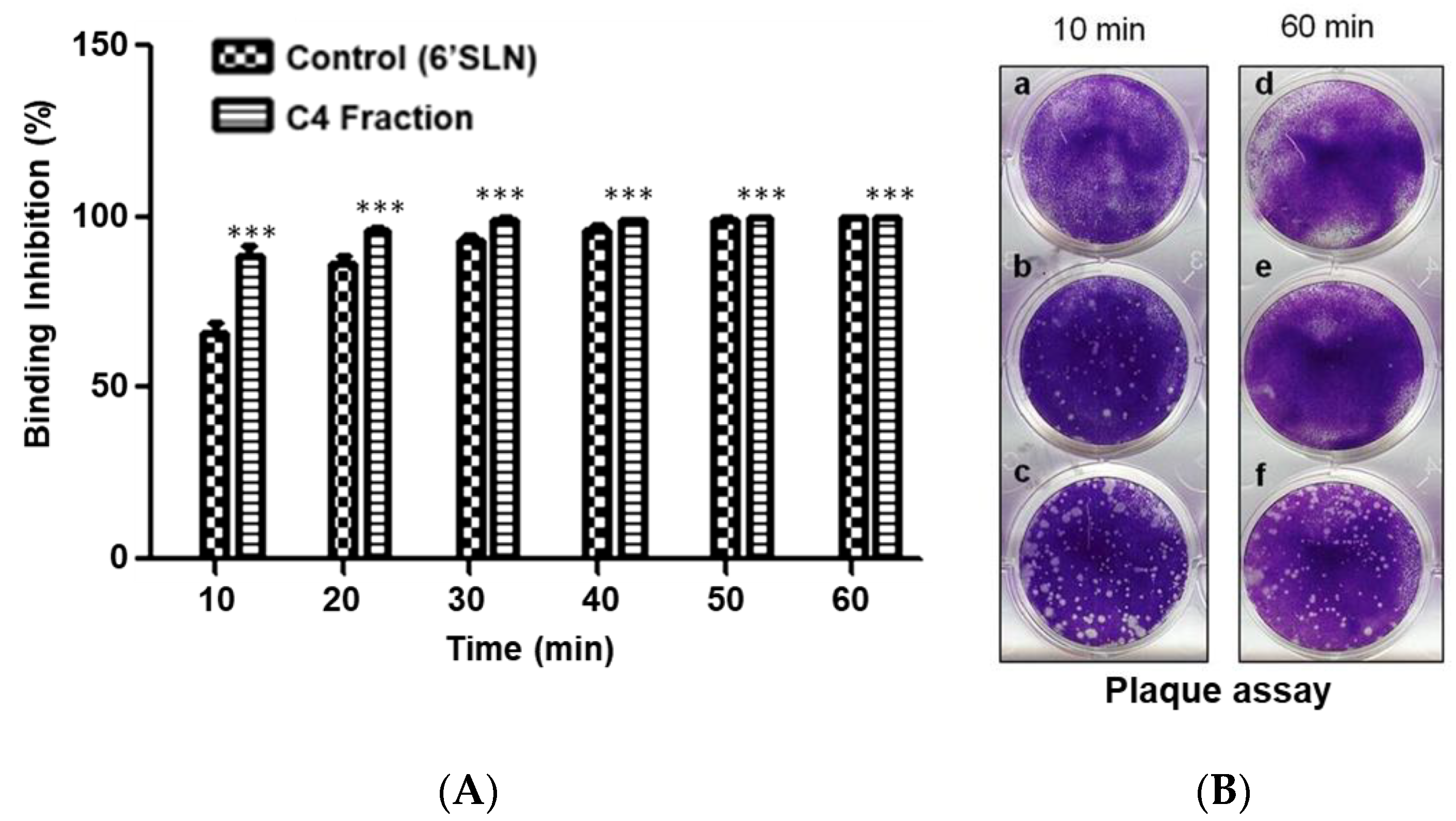 Molecules 27 05494 g005